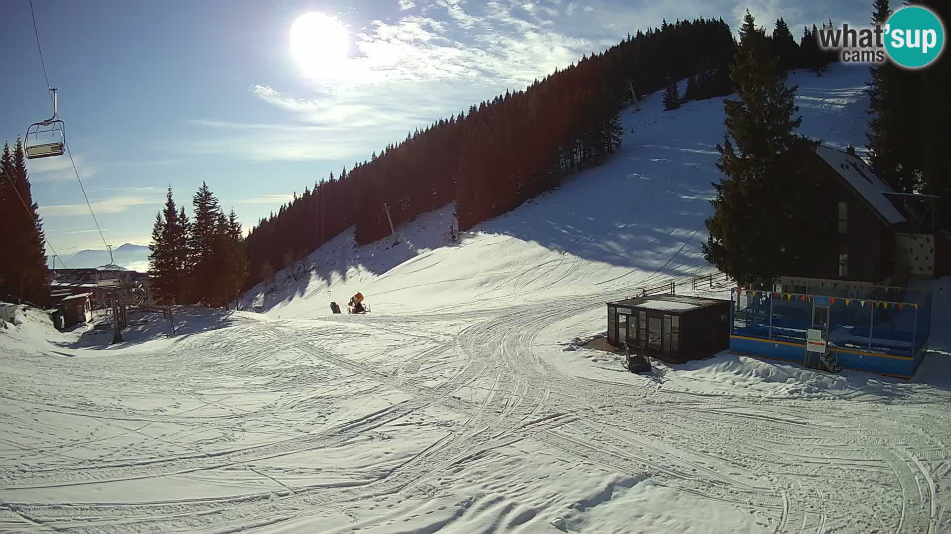 GOLTE stazione sciistica webcam – vista Medvedjak – Slovenia