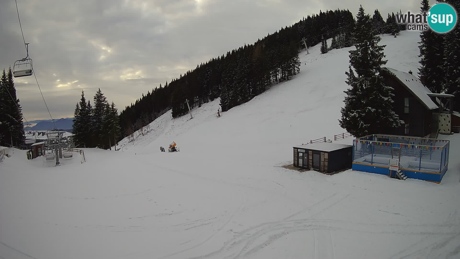 GOLTE Skigebiet webcam – Schöne Aussicht auf Medvedjak – Slowenien