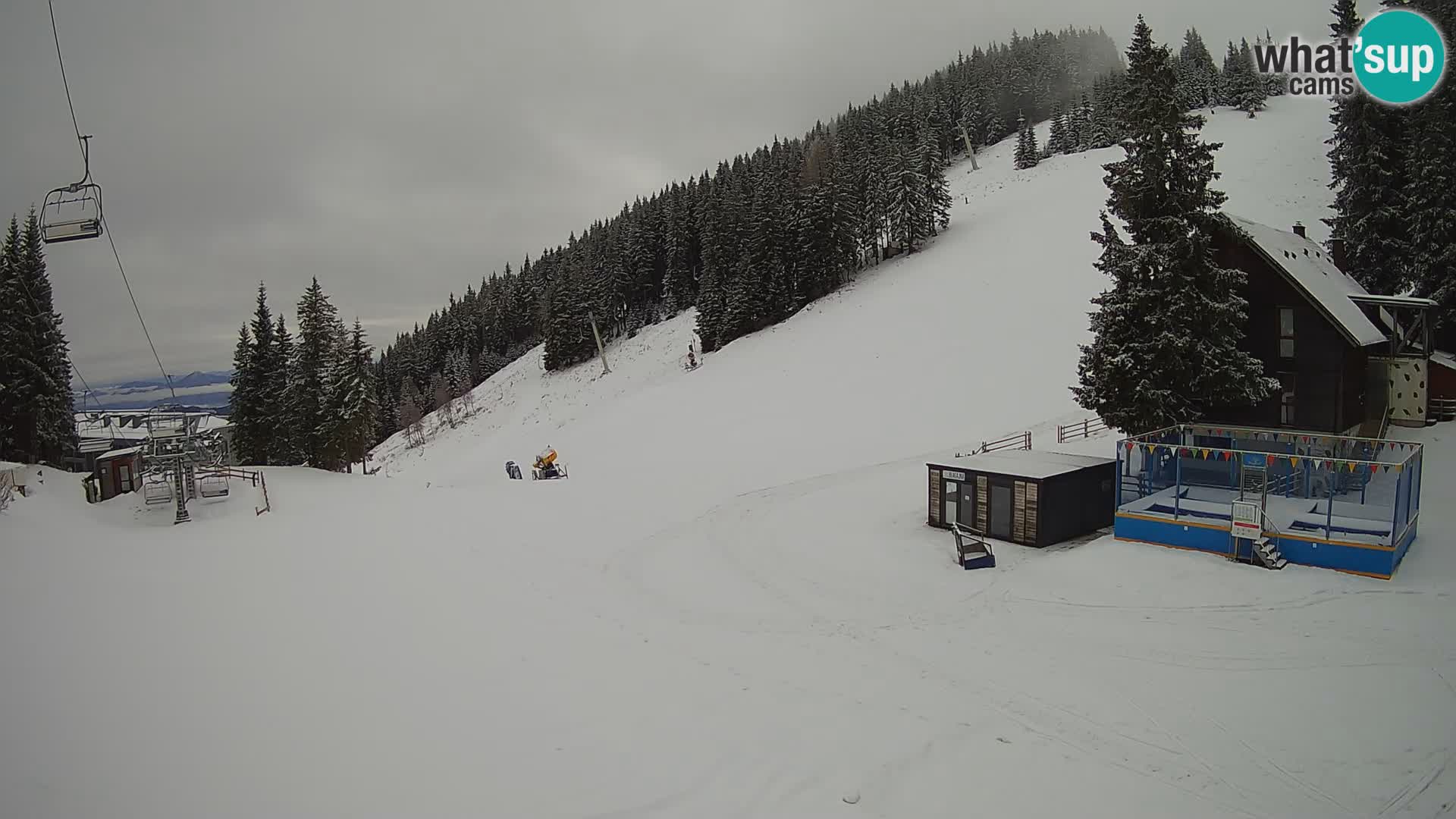 Cámara web en vivo de la estación de esquí GOLTE – vista a Medvedjak – Eslovenia