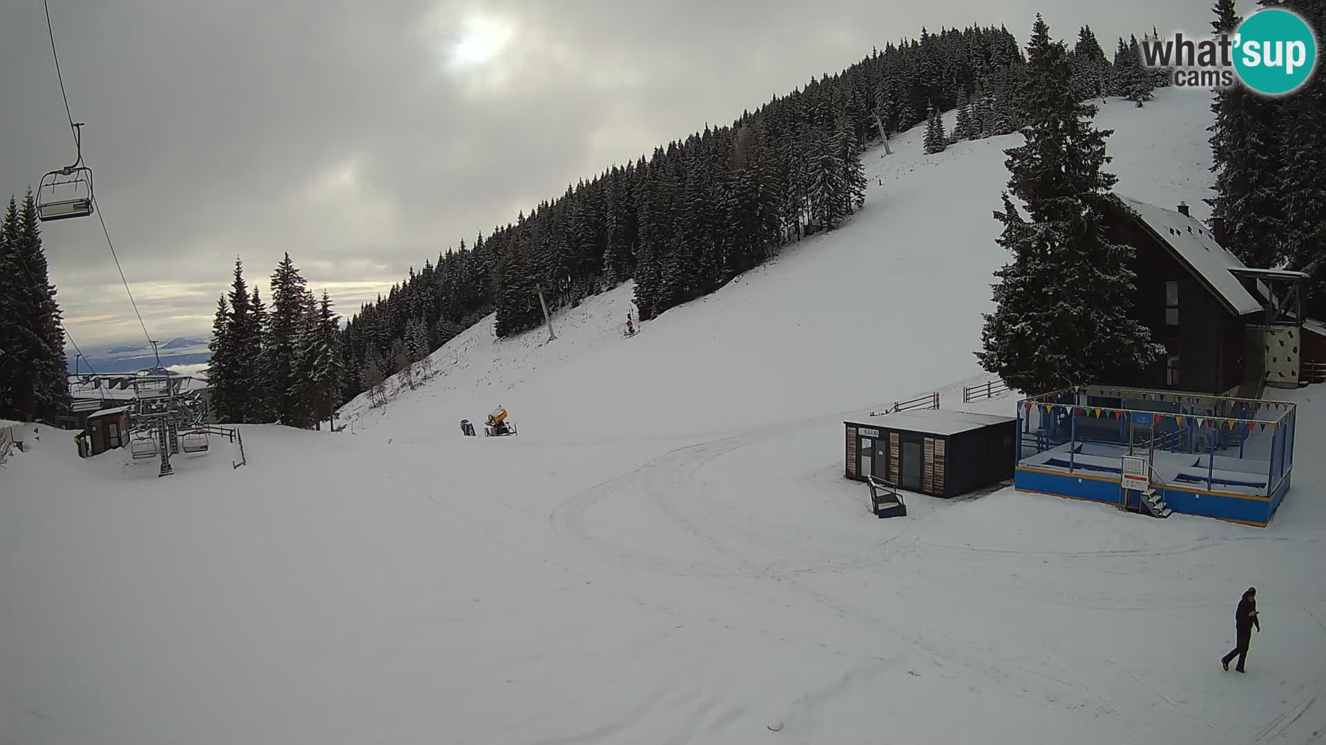 GOLTE stazione sciistica webcam – vista Medvedjak – Slovenia