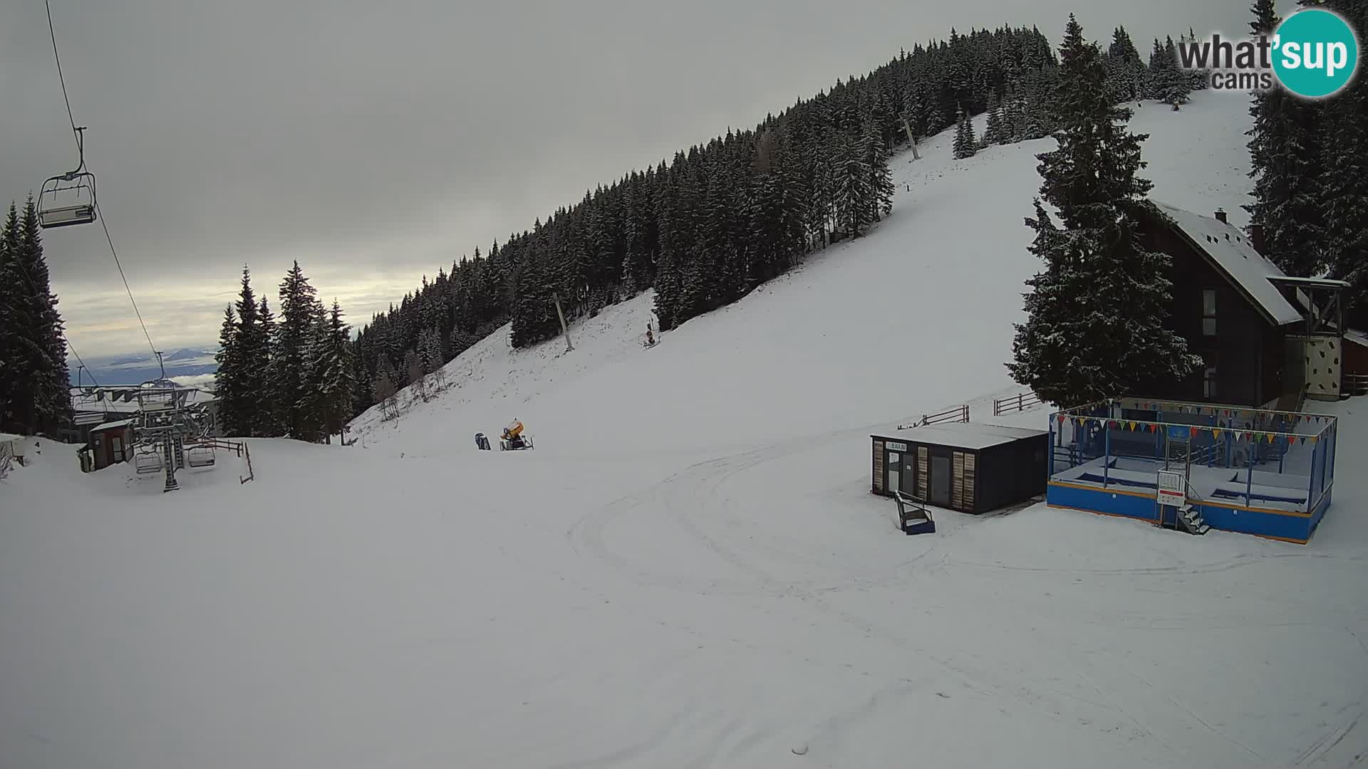 GOLTE Skigebiet webcam – Schöne Aussicht auf Medvedjak – Slowenien