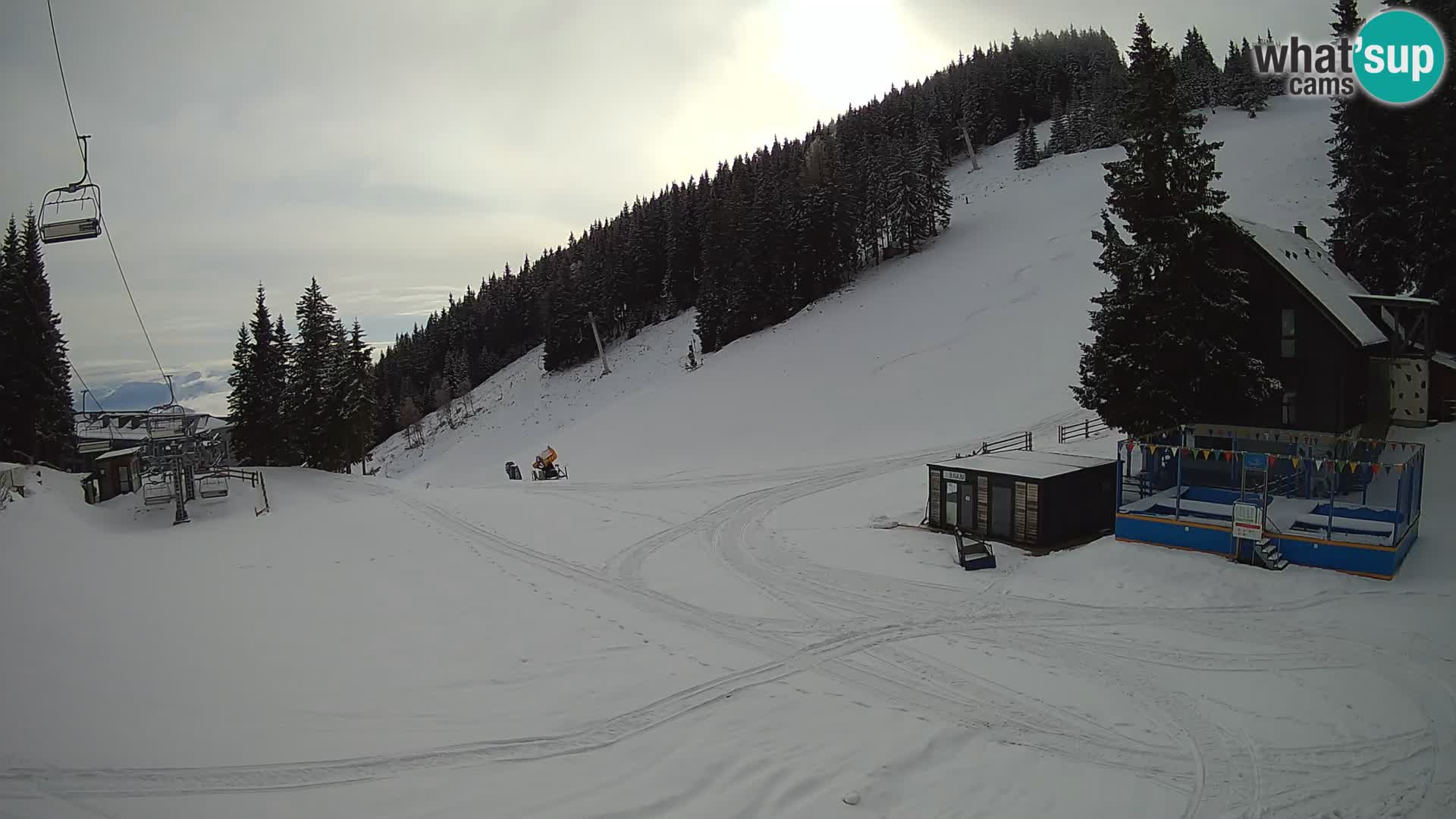 GOLTE Skigebiet webcam – Schöne Aussicht auf Medvedjak – Slowenien