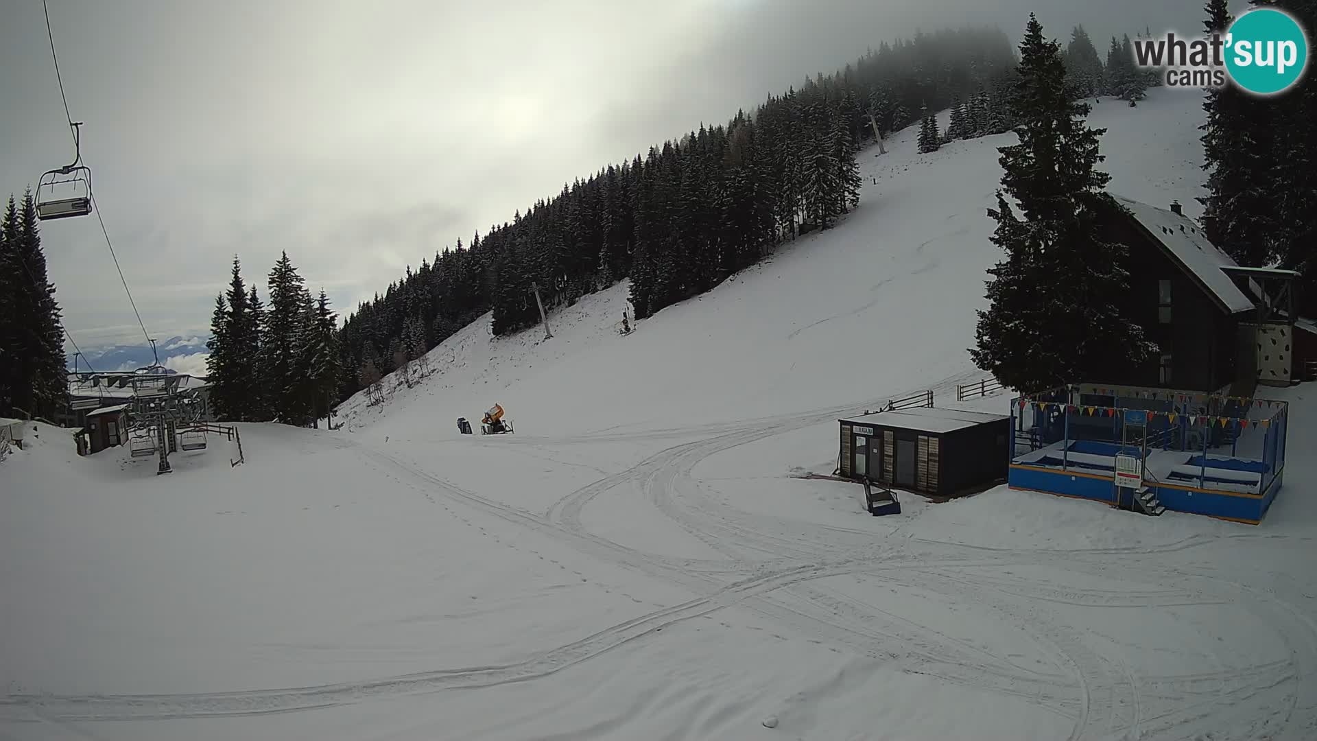GOLTE Skigebiet webcam – Schöne Aussicht auf Medvedjak – Slowenien