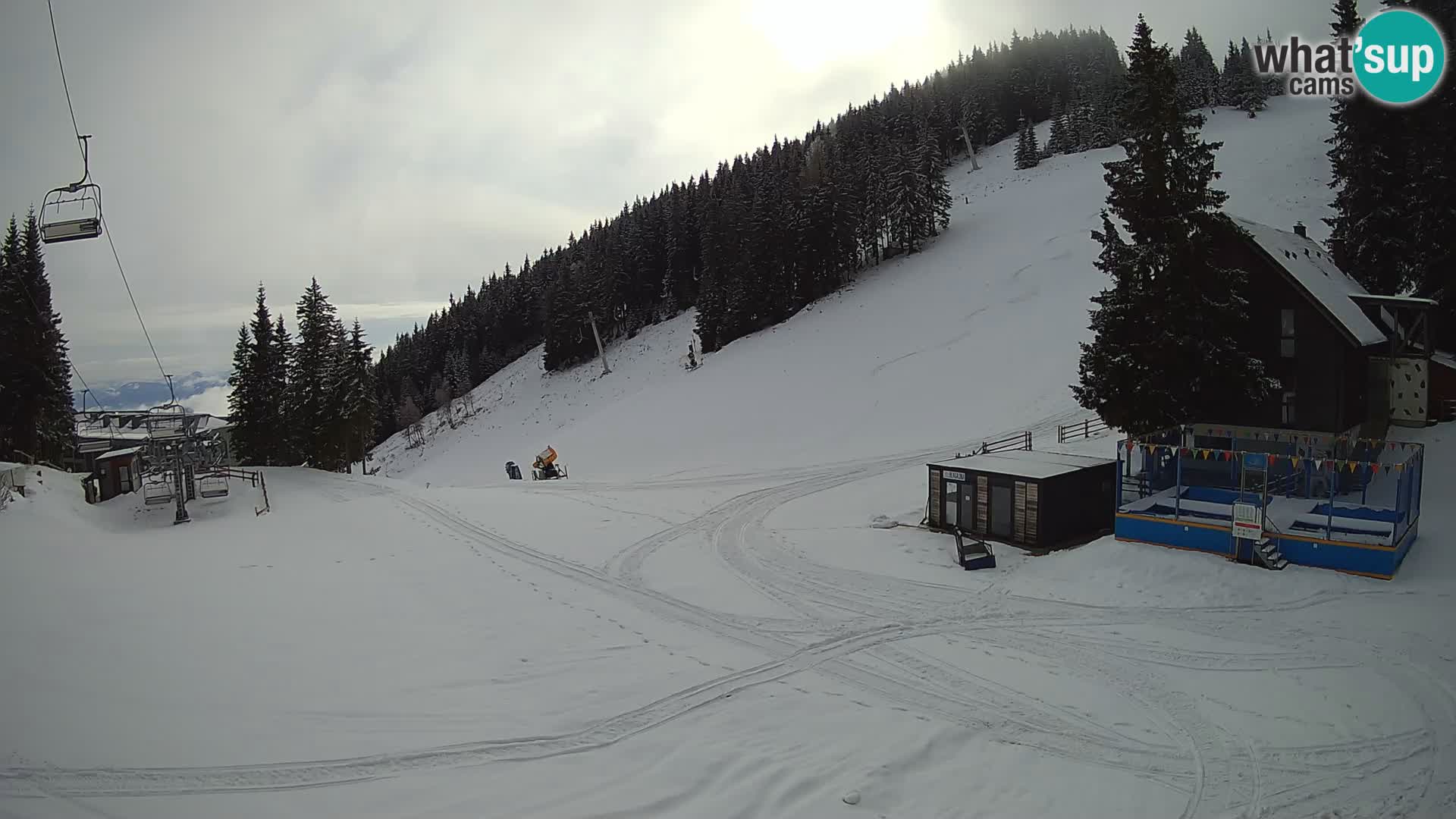GOLTE Skigebiet webcam – Schöne Aussicht auf Medvedjak – Slowenien