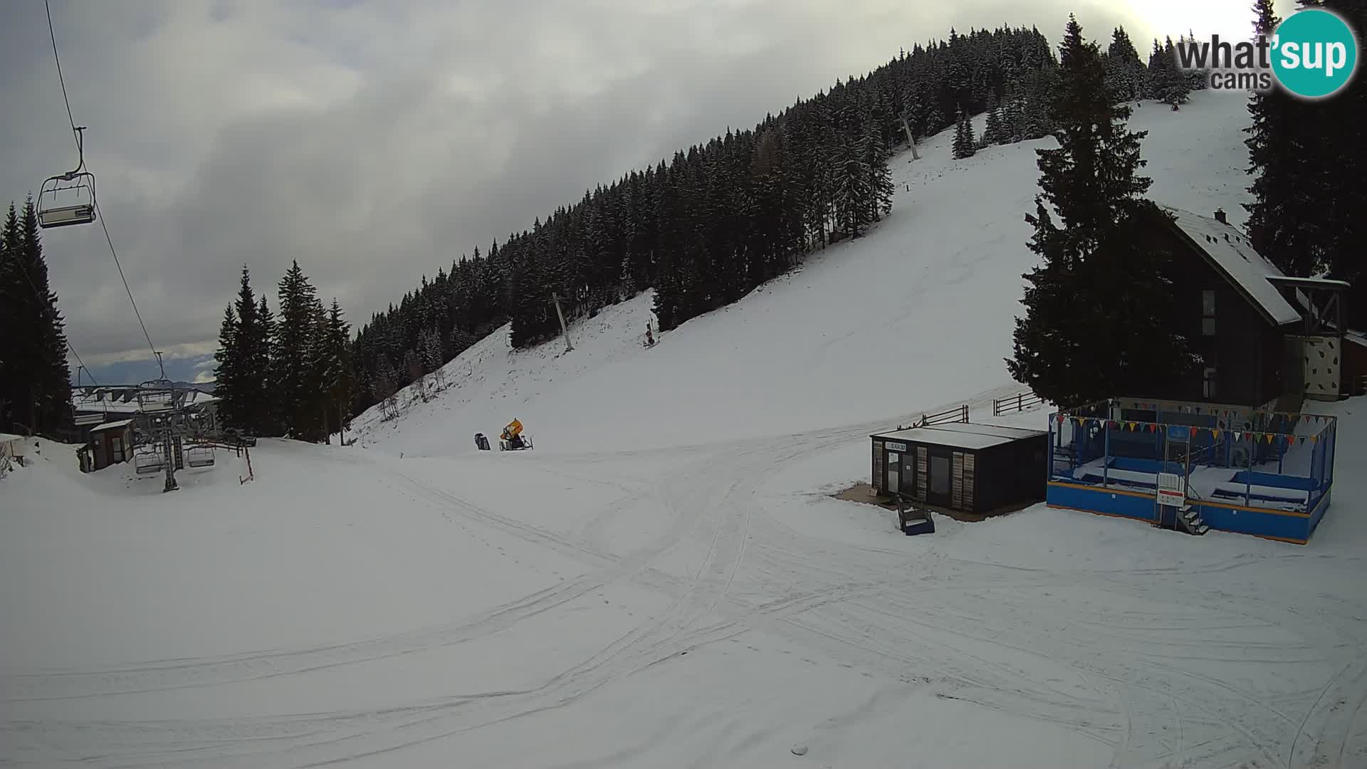 Spletna kamera smučišča GOLTE v živo – pogled na Medvedjak