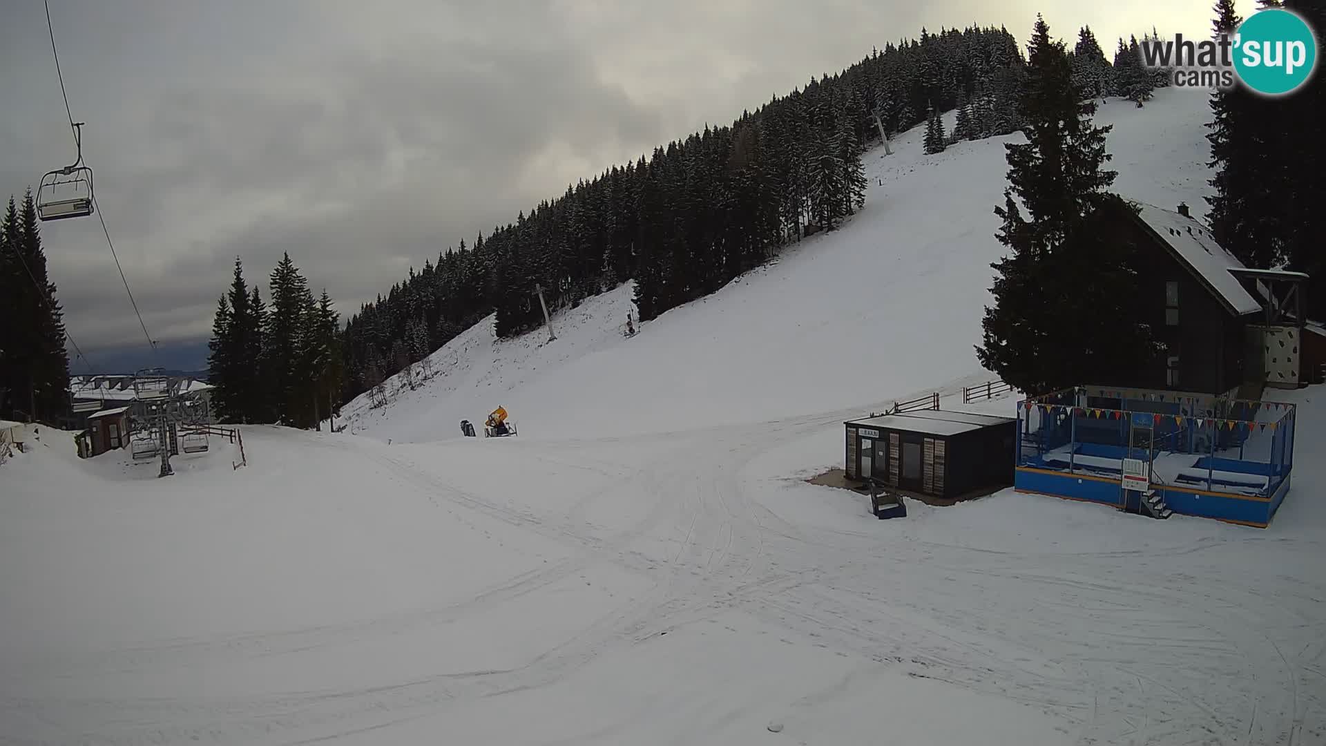 GOLTE stazione sciistica webcam – vista Medvedjak – Slovenia