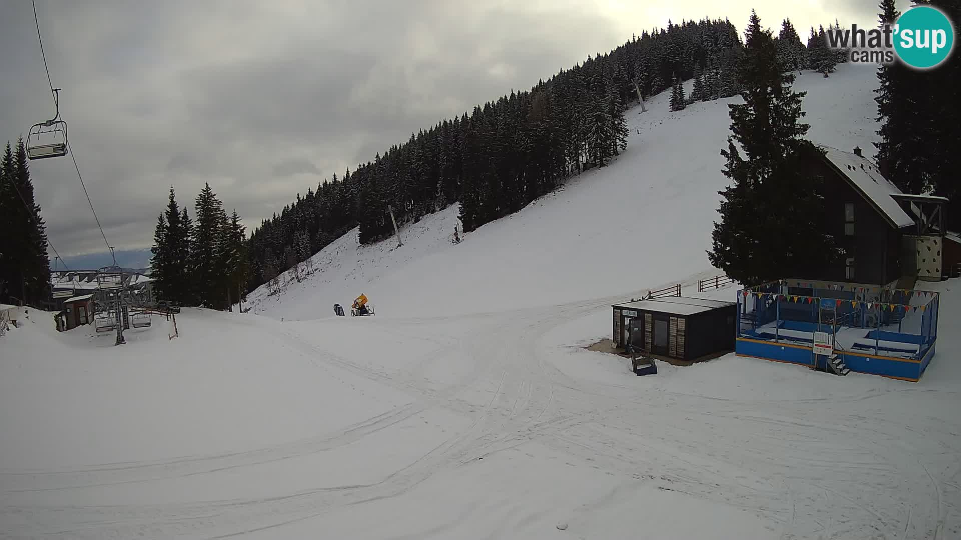GOLTE Skigebiet webcam – Schöne Aussicht auf Medvedjak – Slowenien
