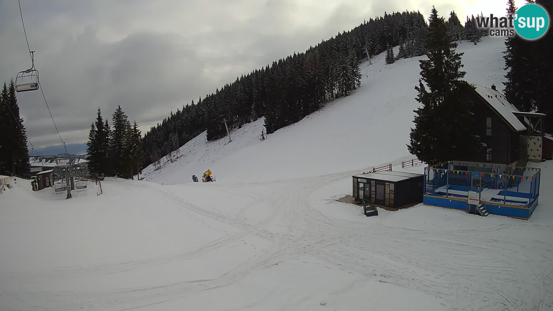 GOLTE Skigebiet webcam – Schöne Aussicht auf Medvedjak – Slowenien
