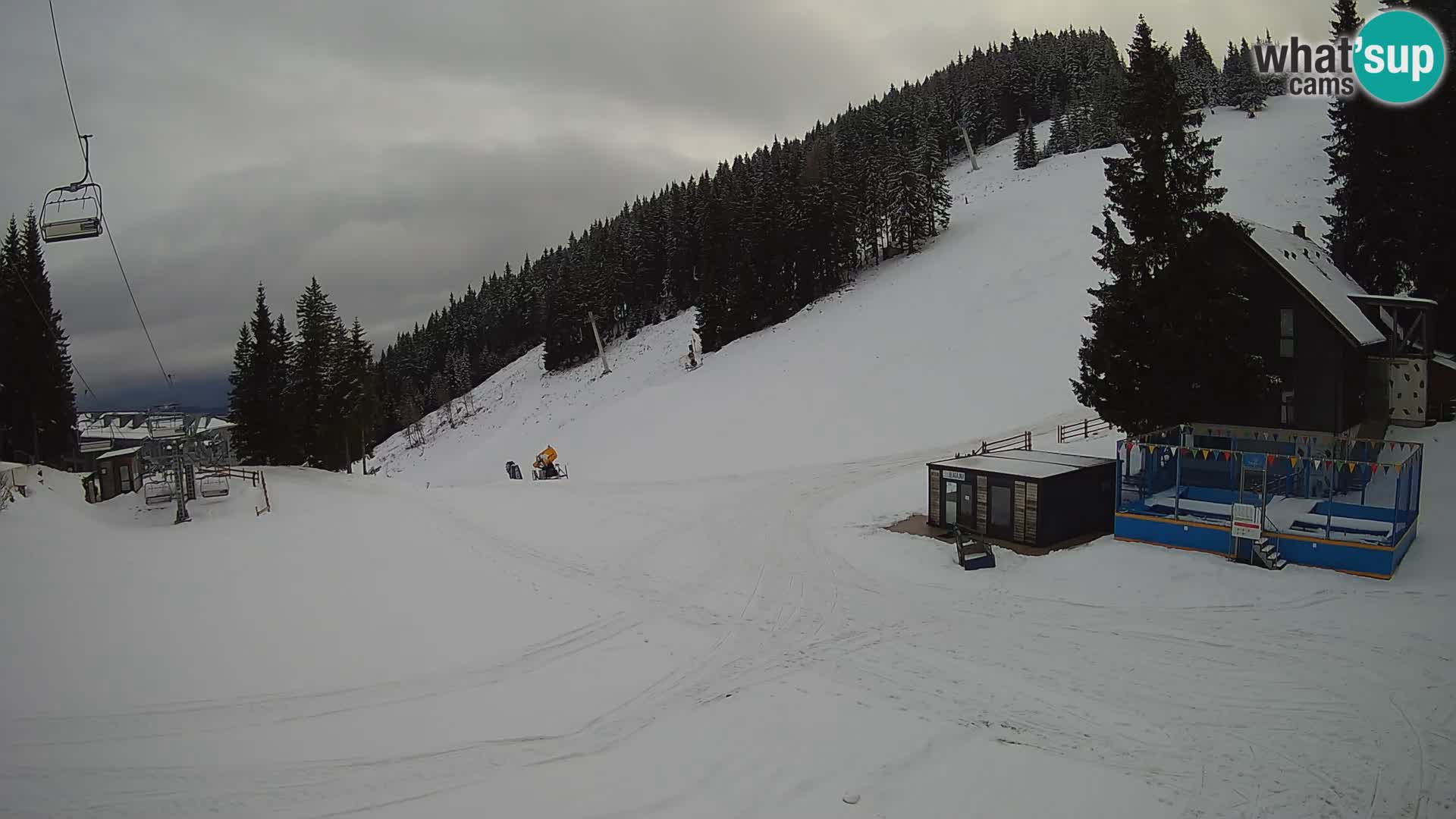 GOLTE Skigebiet webcam – Schöne Aussicht auf Medvedjak – Slowenien