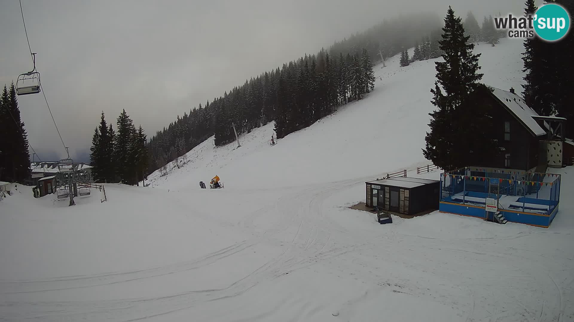 GOLTE stazione sciistica webcam – vista Medvedjak – Slovenia