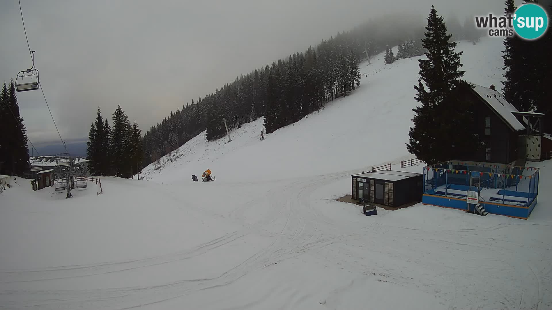 GOLTE Skigebiet webcam – Schöne Aussicht auf Medvedjak – Slowenien