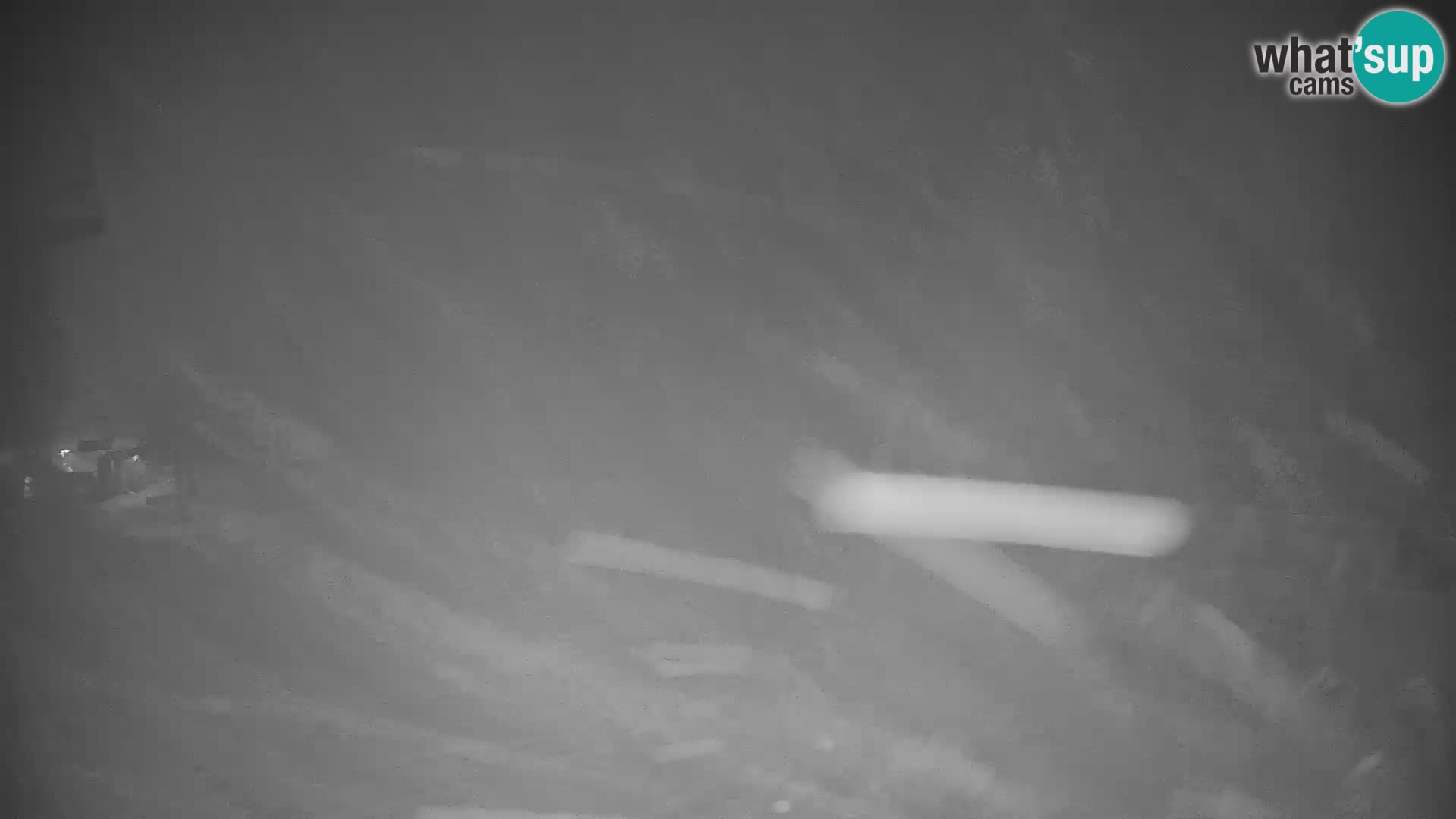 Spletna kamera smučišča GOLTE v živo – pogled na Medvedjak