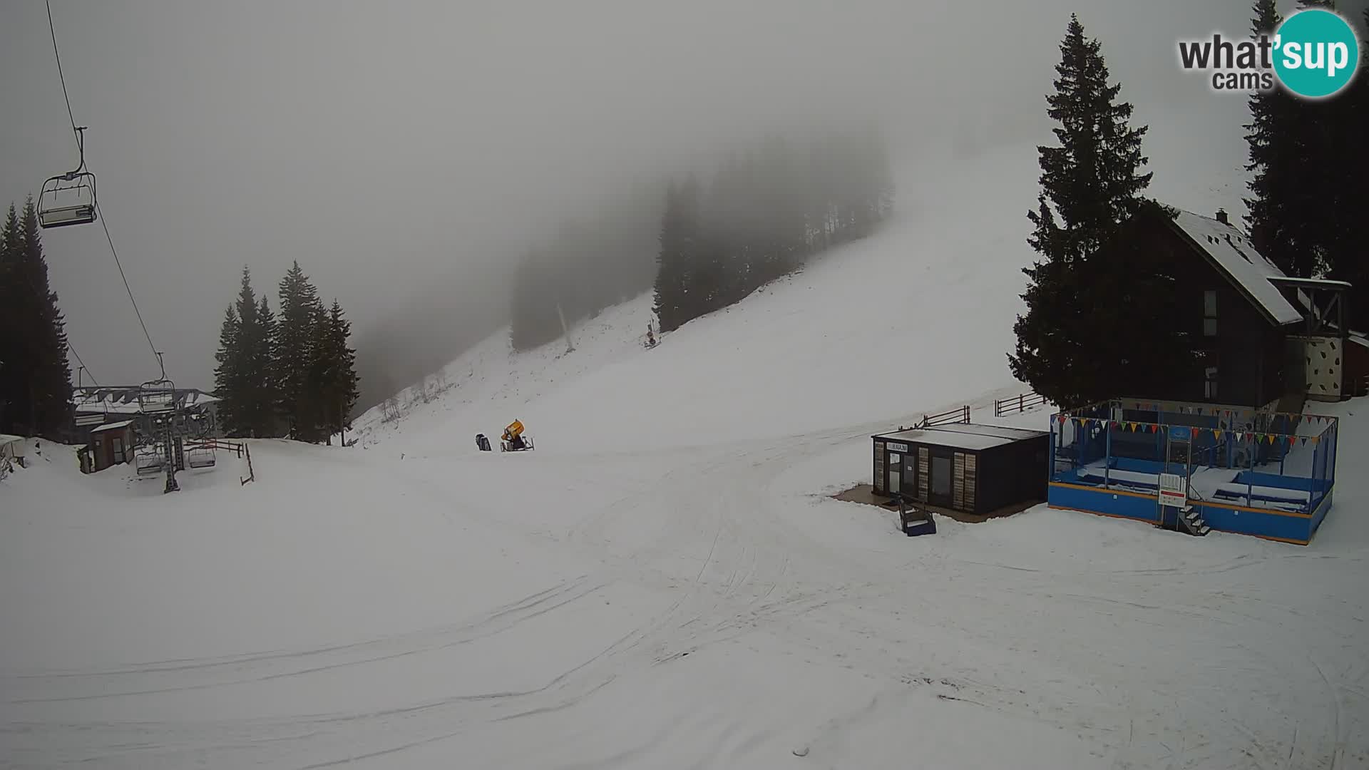 GOLTE Skigebiet webcam – Schöne Aussicht auf Medvedjak – Slowenien