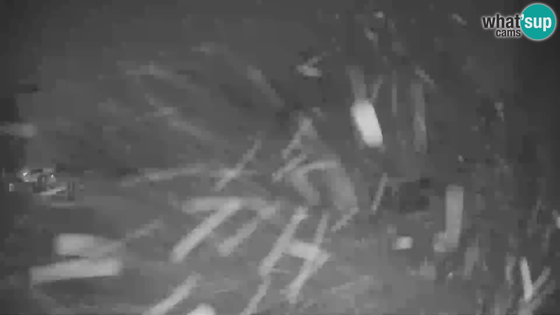 Webcam en direct de la station de ski de GOLTE – vue sur Medvedjak – Slovénie