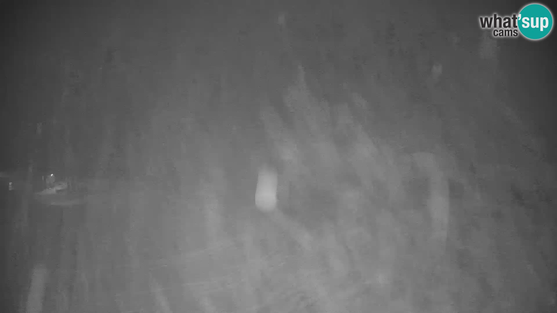 Cámara web en vivo de la estación de esquí GOLTE – vista a Medvedjak – Eslovenia