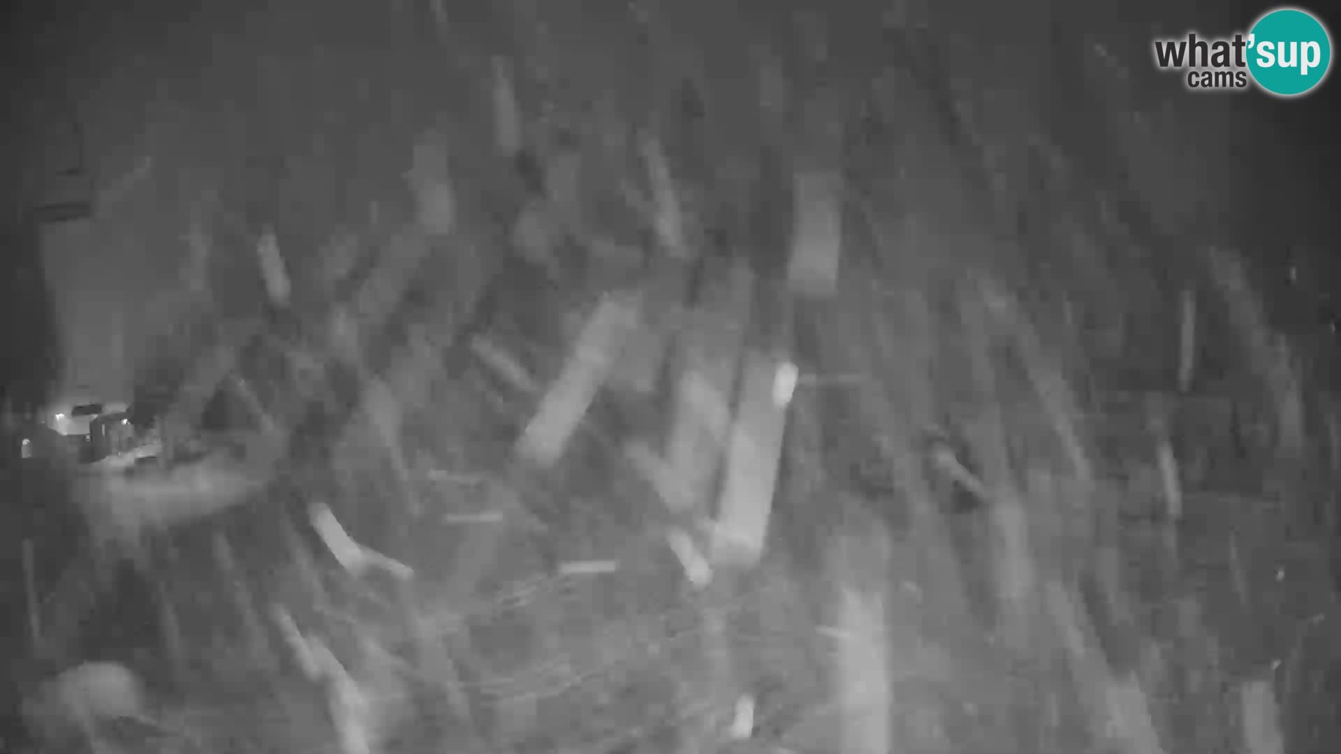 Webcam en direct de la station de ski de GOLTE – vue sur Medvedjak – Slovénie