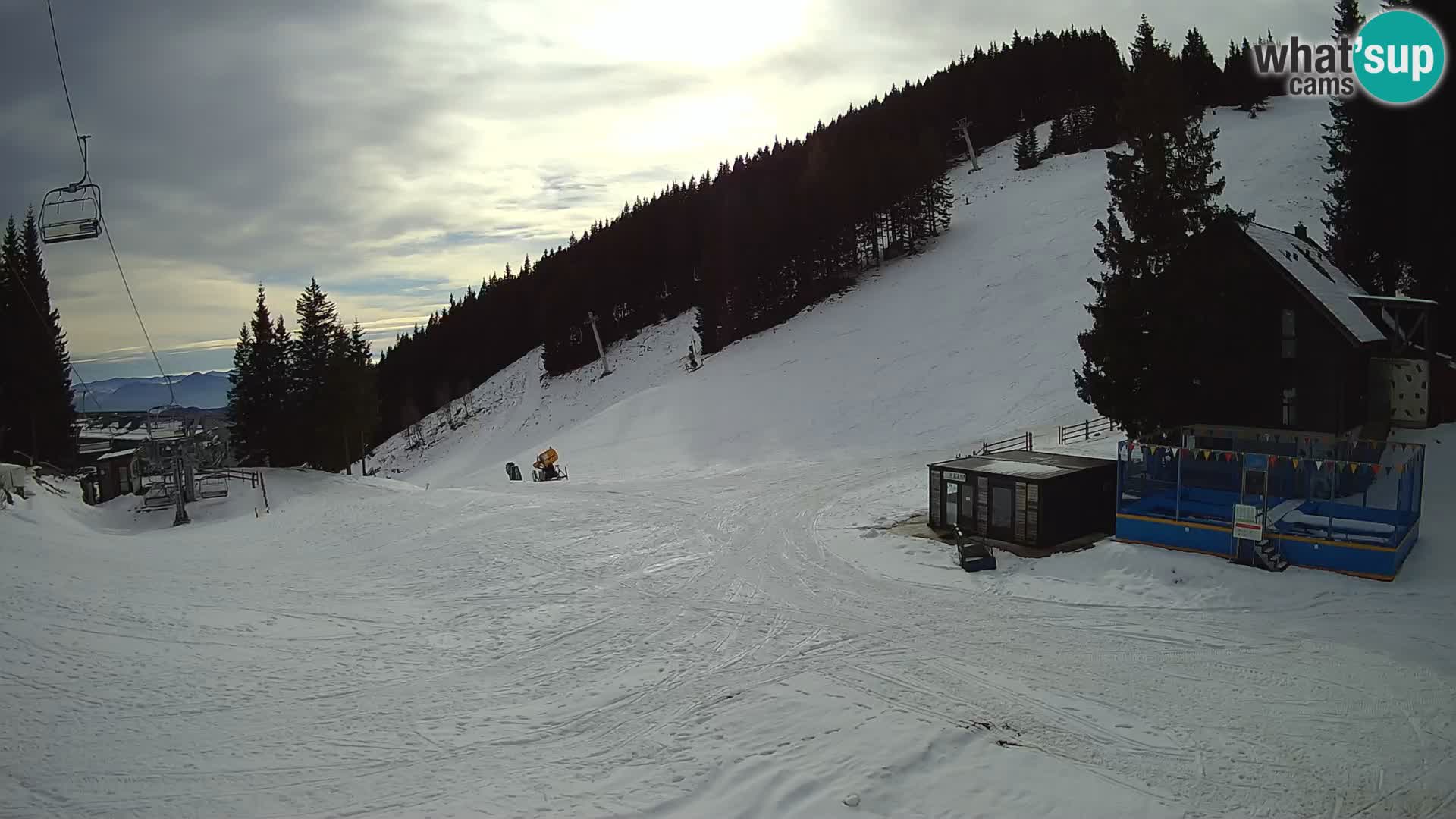 GOLTE Skigebiet webcam – Schöne Aussicht auf Medvedjak – Slowenien