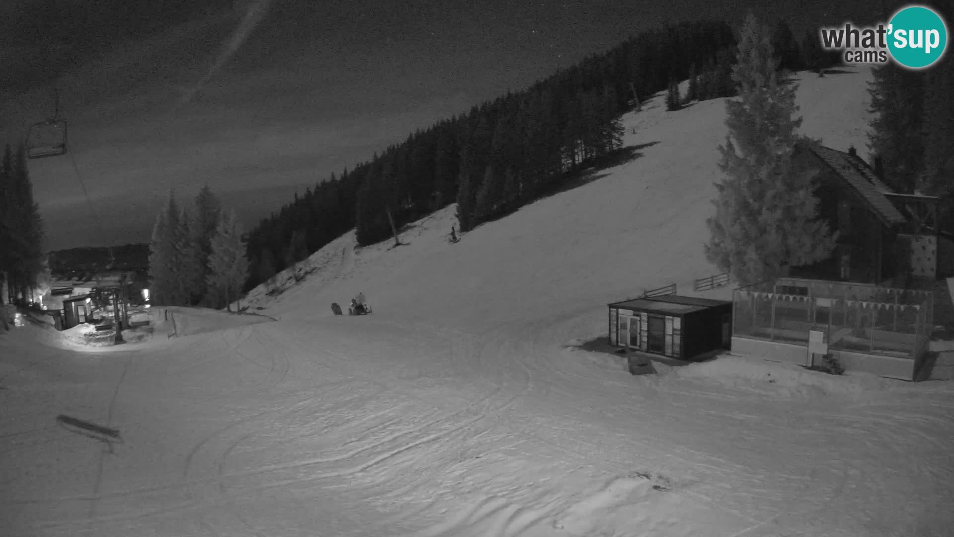 GOLTE Skigebiet webcam – Schöne Aussicht auf Medvedjak – Slowenien