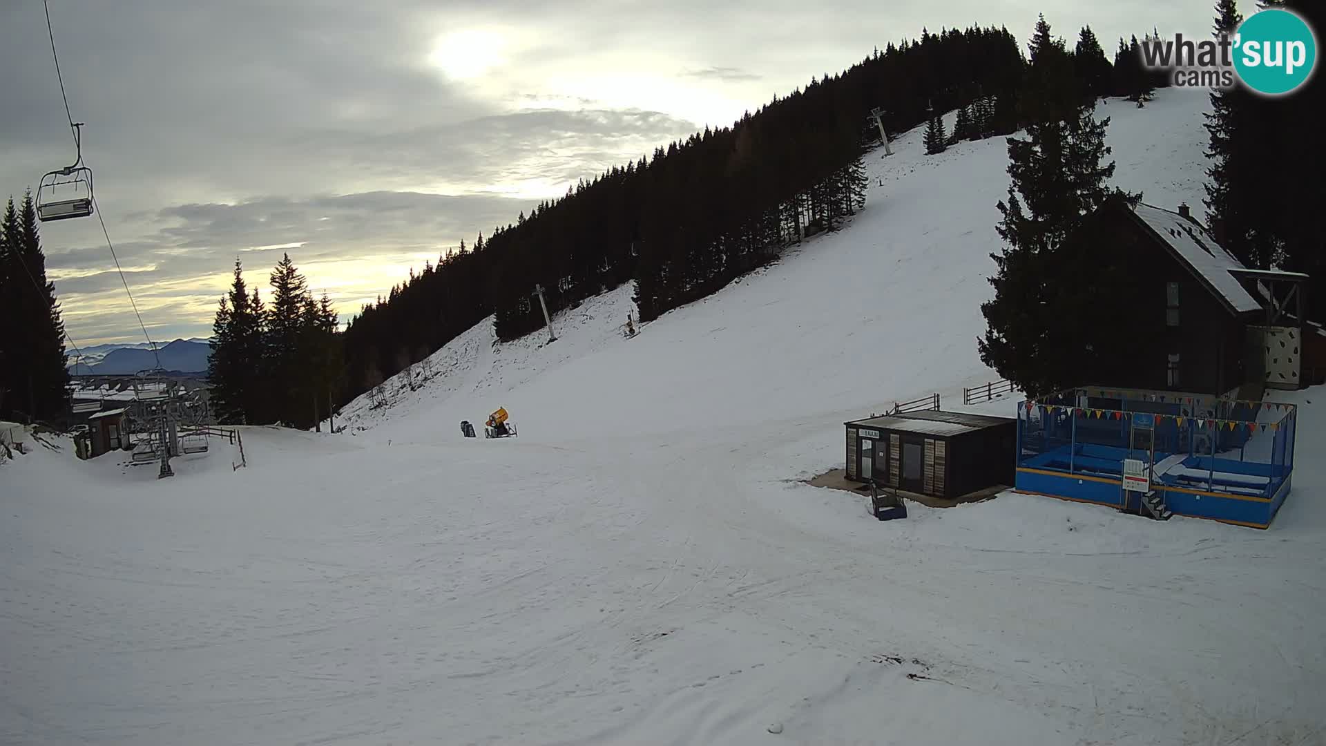 GOLTE Skigebiet webcam – Schöne Aussicht auf Medvedjak – Slowenien