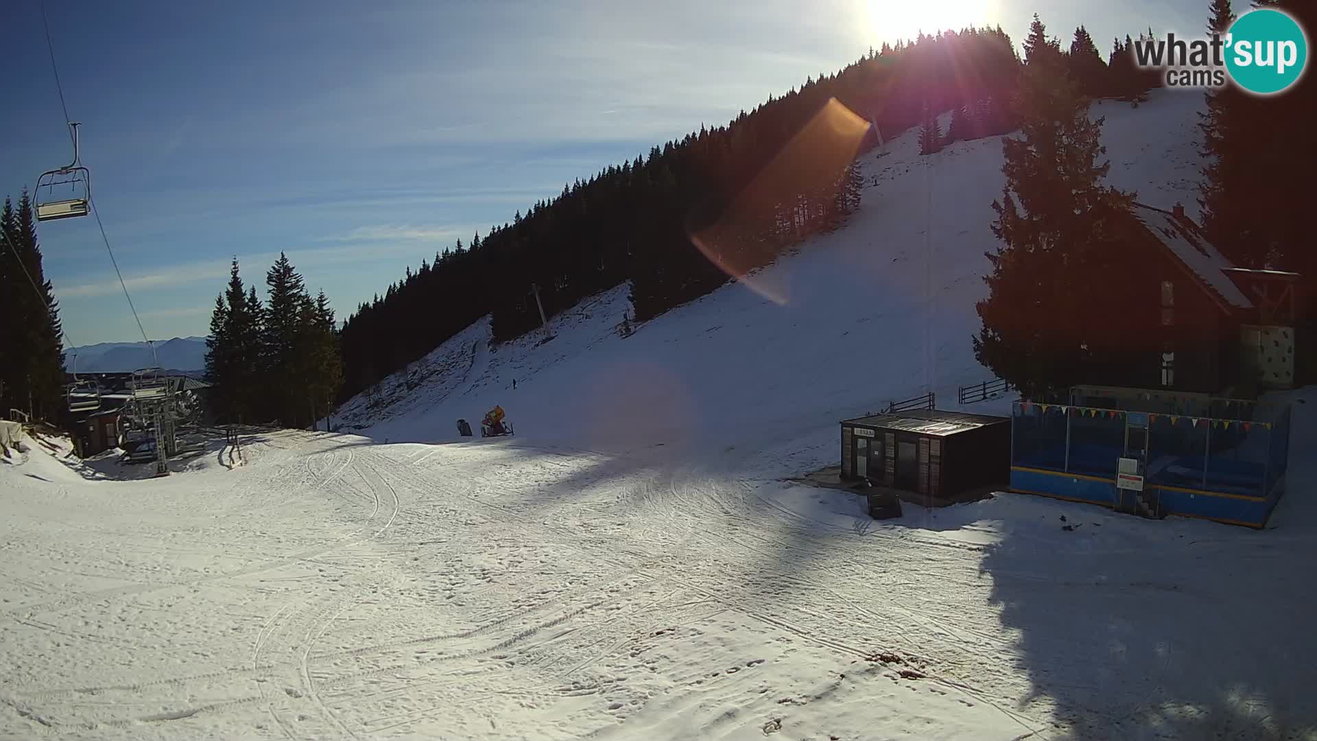 GOLTE stazione sciistica webcam – vista Medvedjak – Slovenia