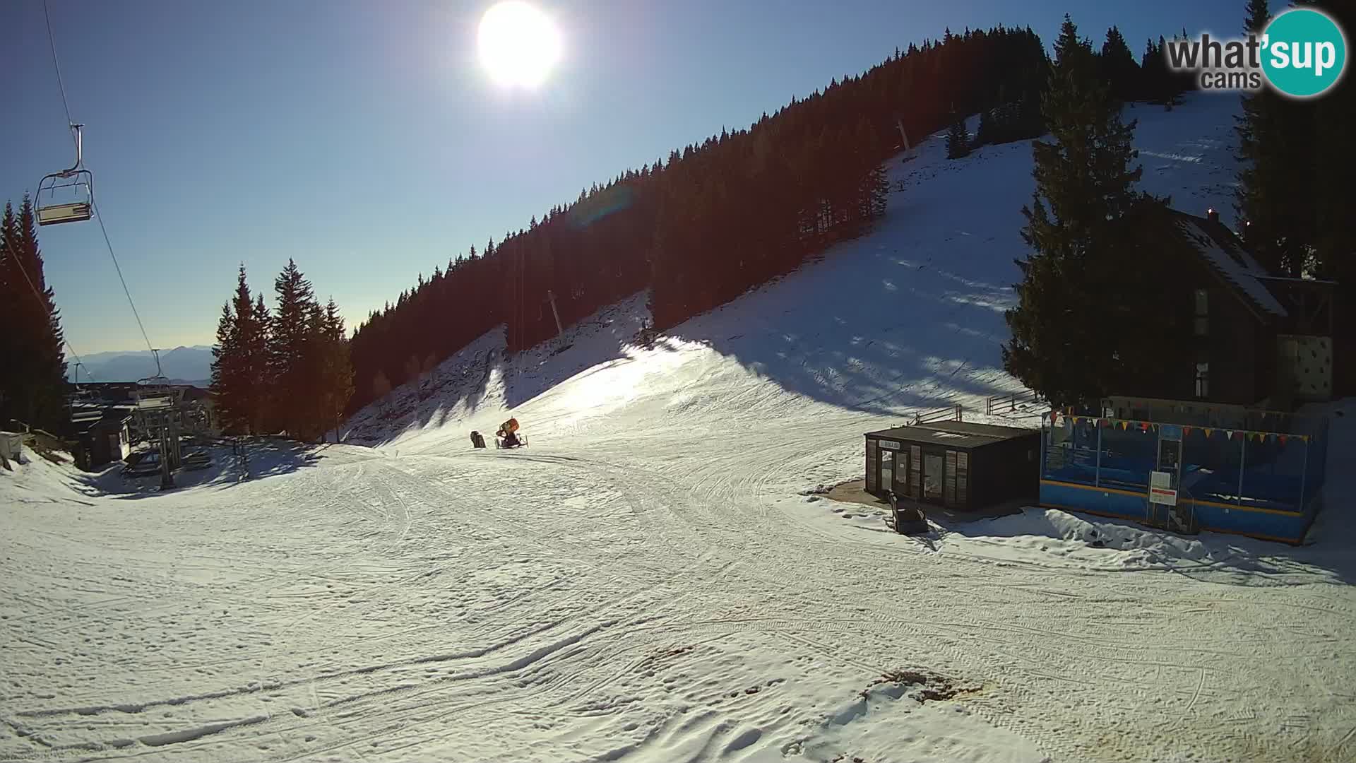 Spletna kamera smučišča GOLTE v živo – pogled na Medvedjak
