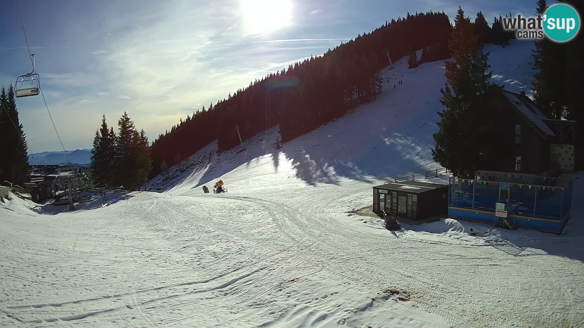 Webcam en direct de la station de ski de GOLTE – vue sur Medvedjak – Slovénie