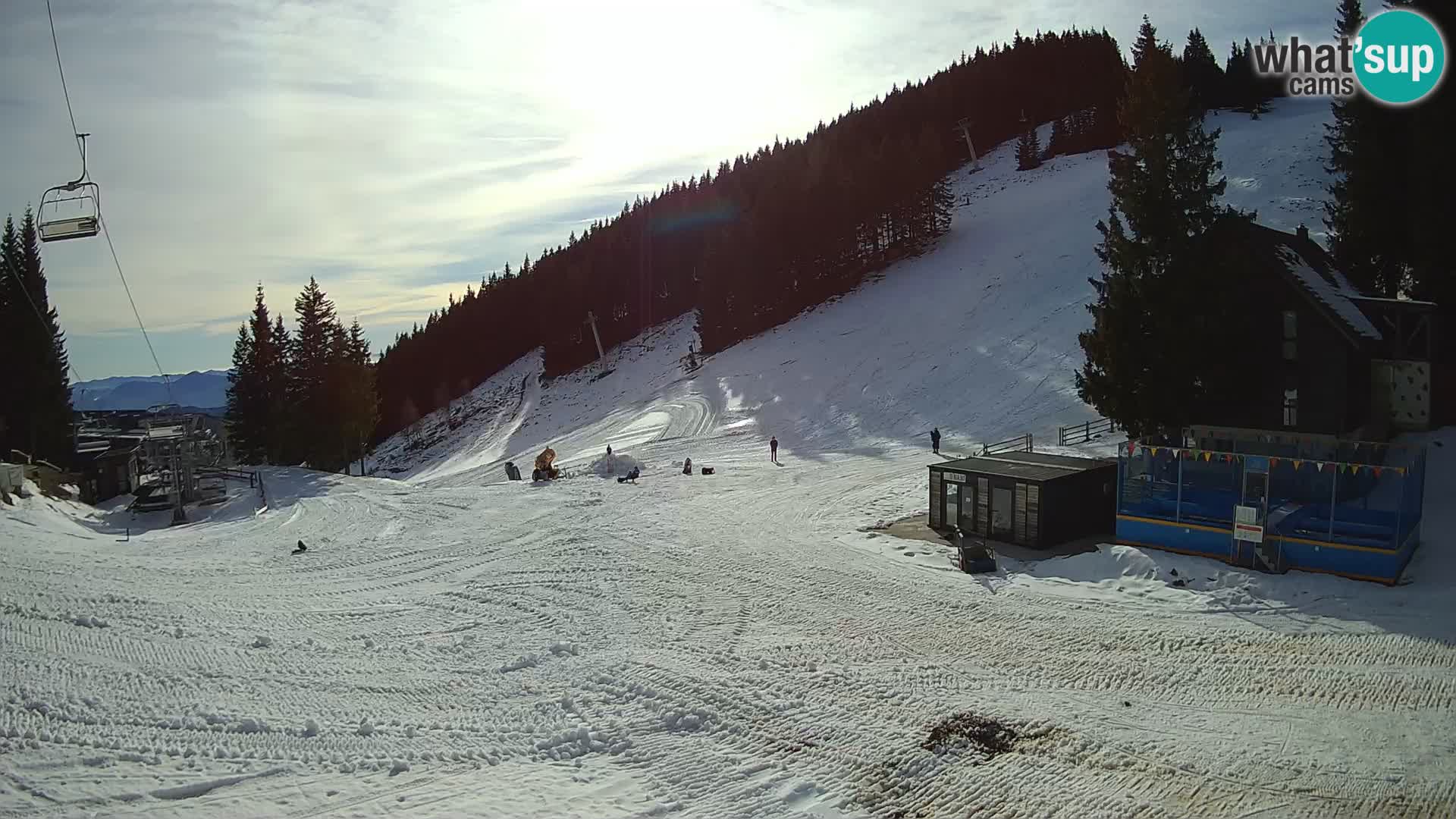 GOLTE stazione sciistica webcam – vista Medvedjak – Slovenia