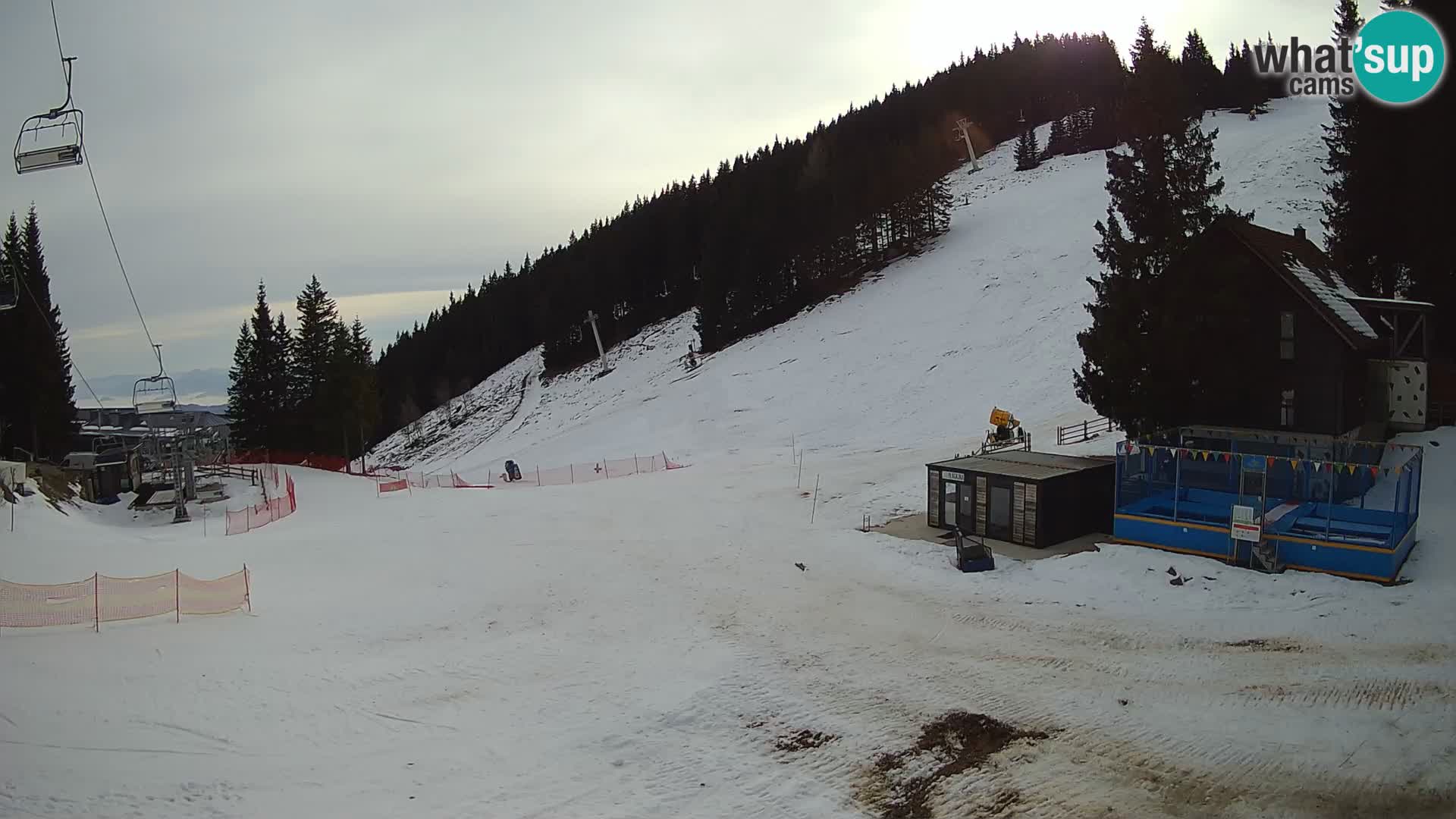 GOLTE Skigebiet webcam – Schöne Aussicht auf Medvedjak – Slowenien