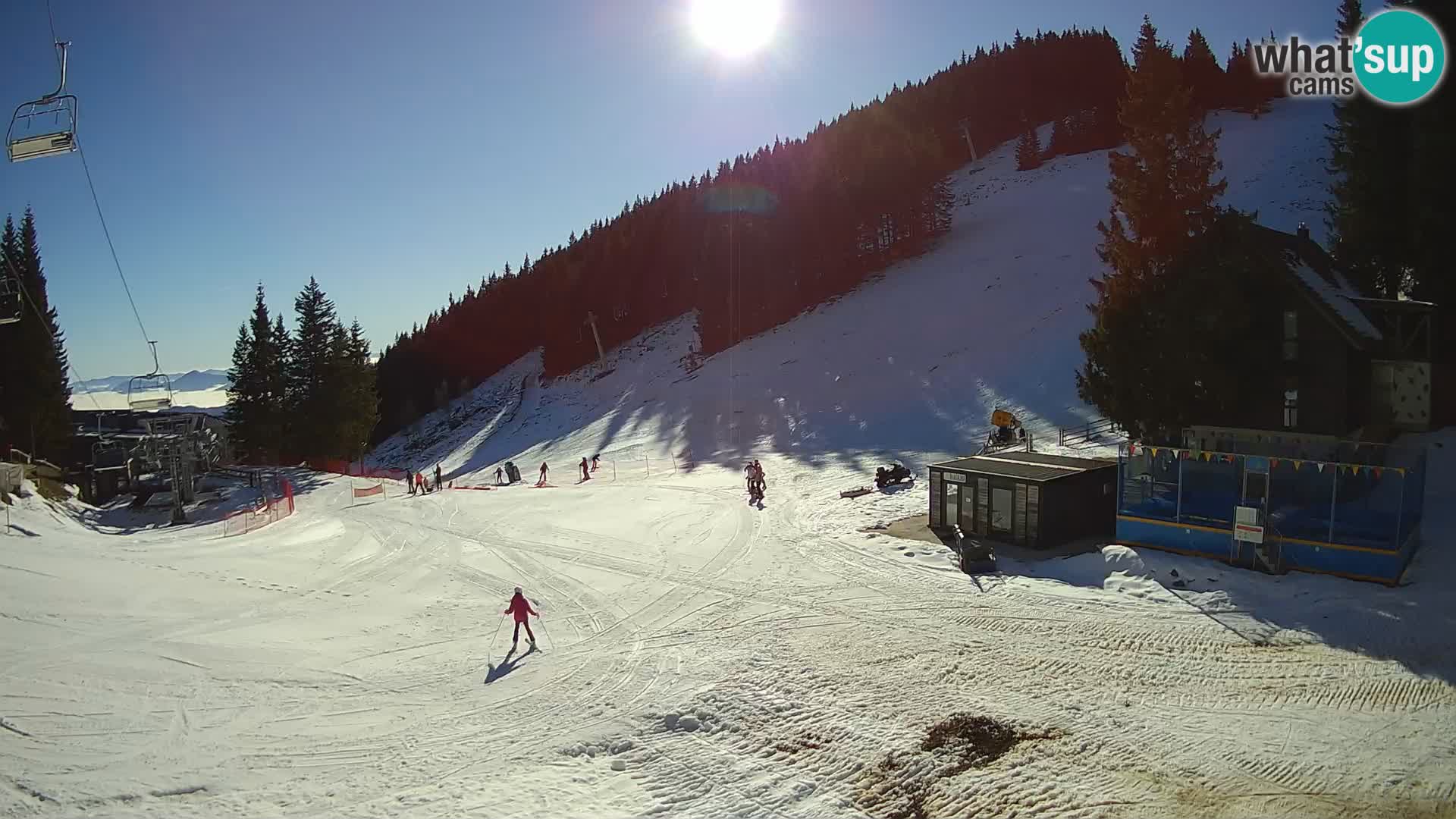 GOLTE stazione sciistica webcam – vista Medvedjak – Slovenia