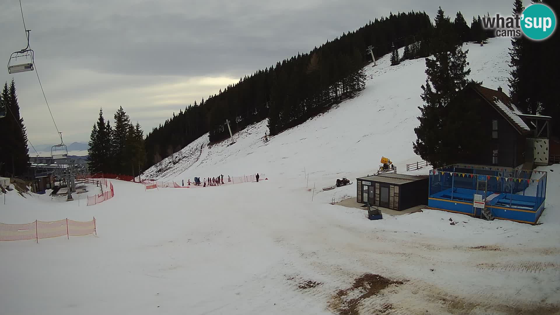 GOLTE Skigebiet webcam – Schöne Aussicht auf Medvedjak – Slowenien