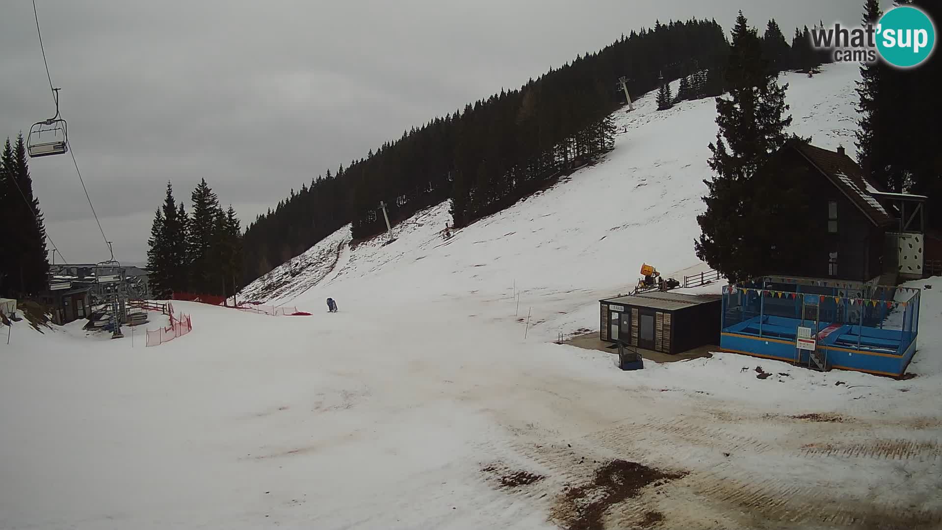 GOLTE Skigebiet webcam – Schöne Aussicht auf Medvedjak – Slowenien