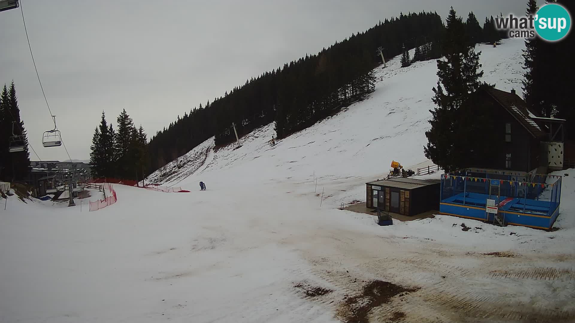 Spletna kamera smučišča GOLTE v živo – pogled na Medvedjak