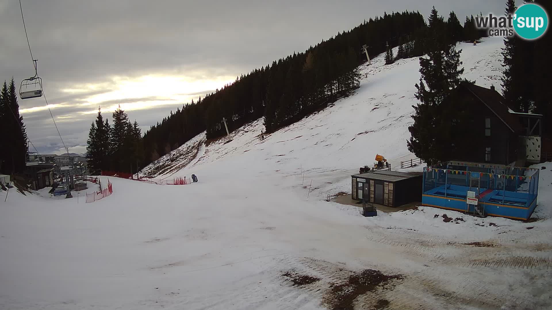 GOLTE Skigebiet webcam – Schöne Aussicht auf Medvedjak – Slowenien