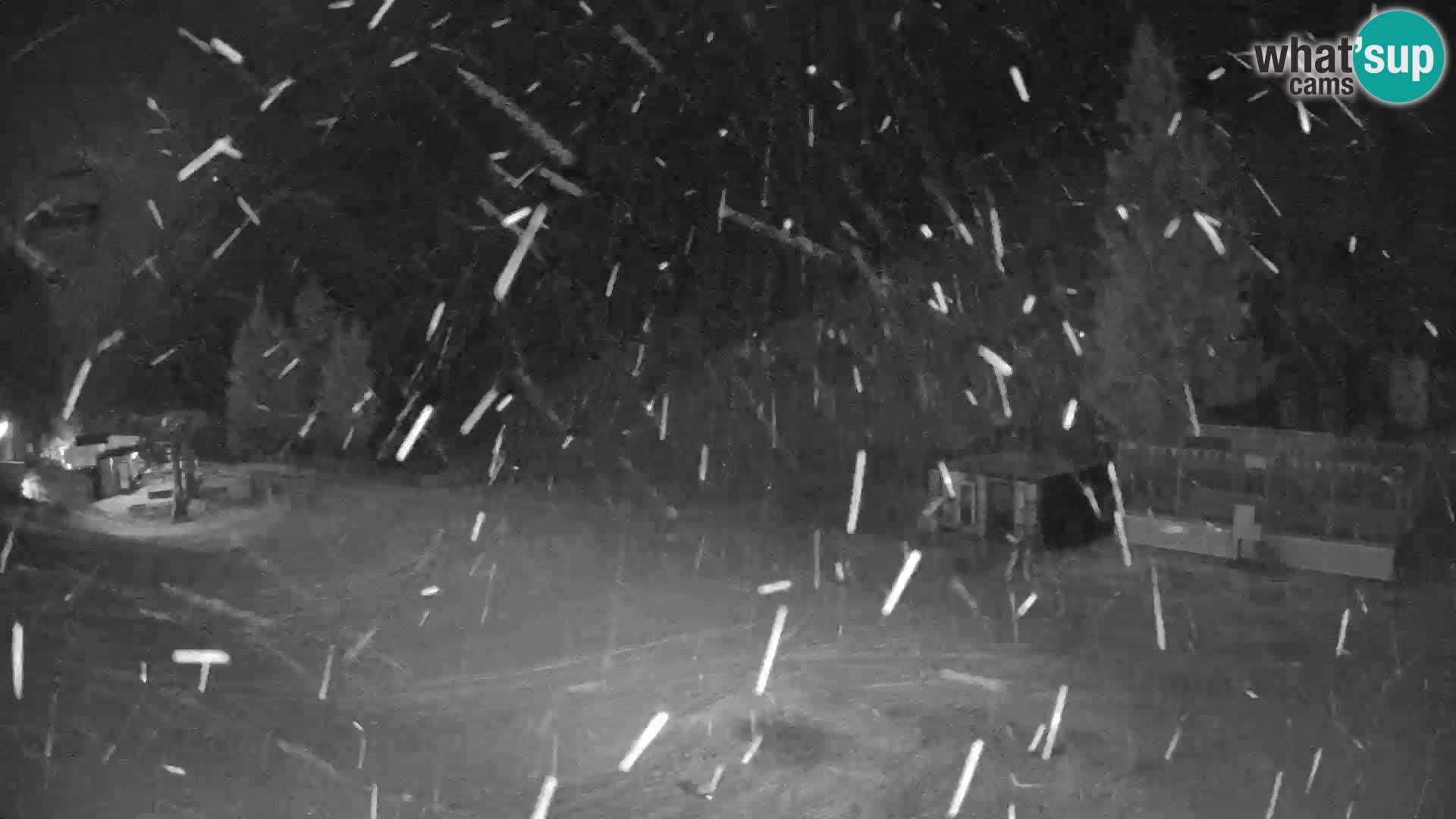 GOLTE Skigebiet webcam – Schöne Aussicht auf Medvedjak – Slowenien