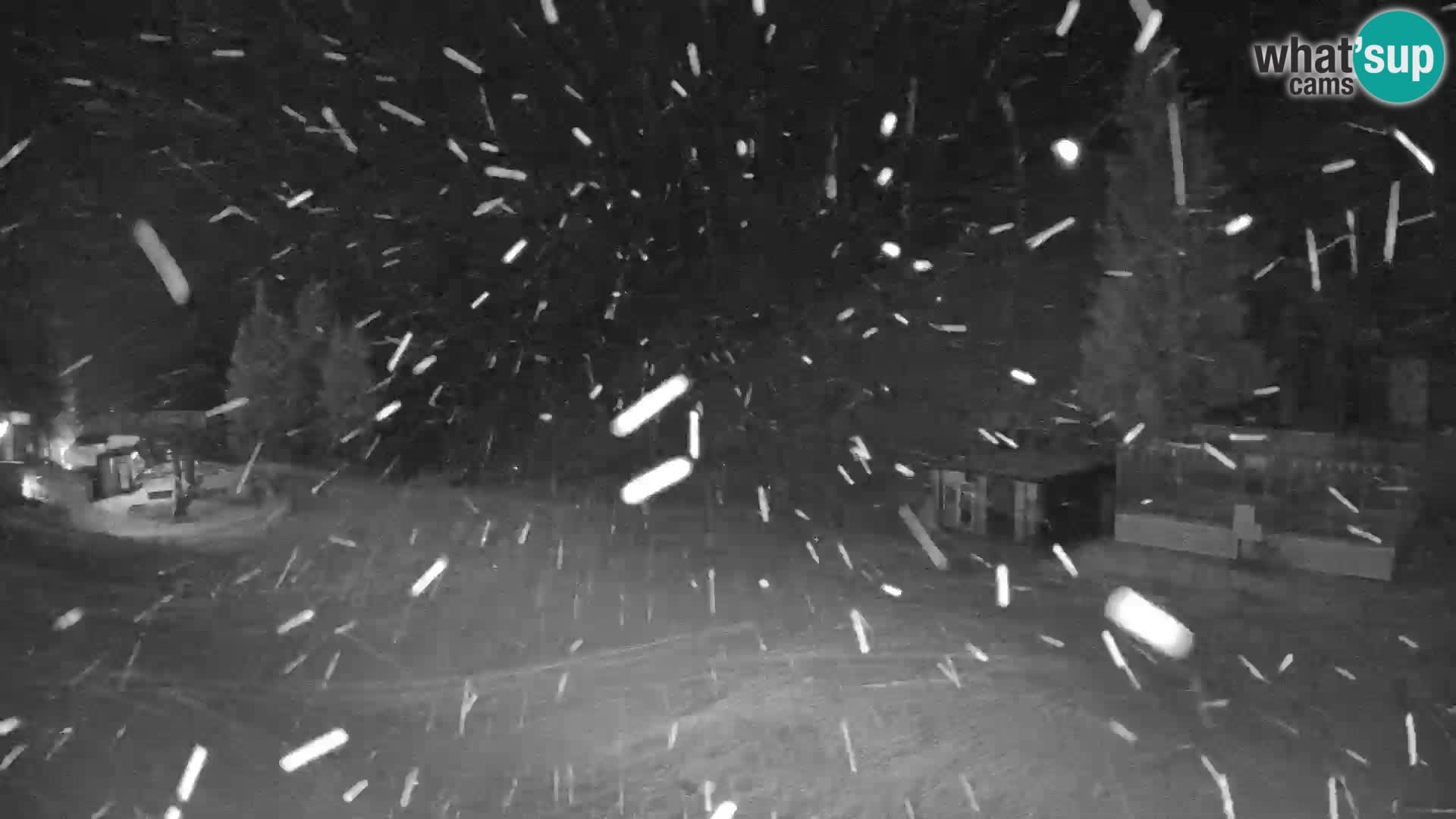 GOLTE skijalište web kamera – pogled na Medvedjak – Slovenija