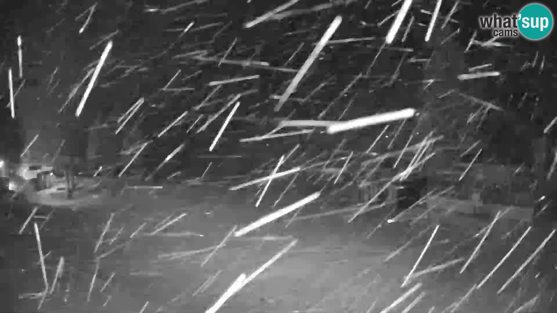 GOLTE stazione sciistica webcam – vista Medvedjak – Slovenia