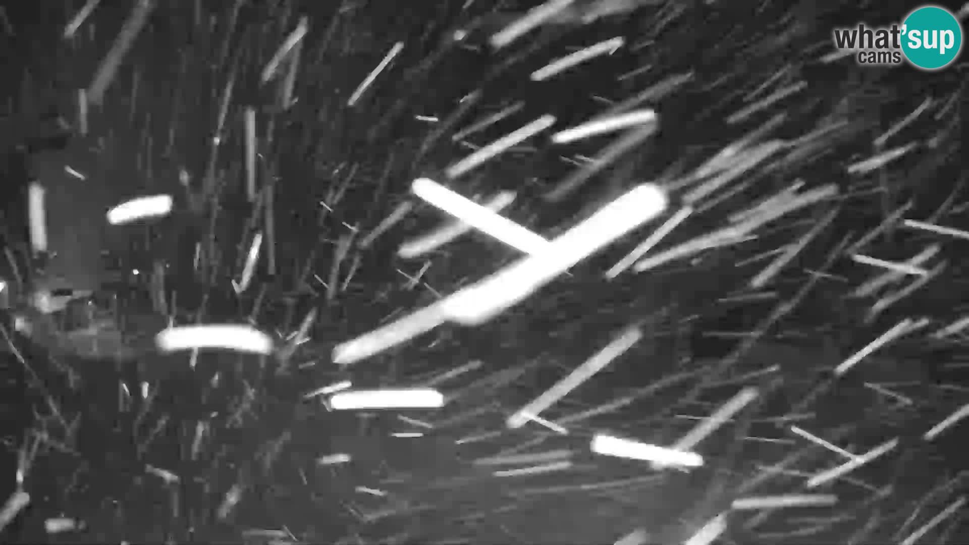 GOLTE stazione sciistica webcam – vista Medvedjak – Slovenia