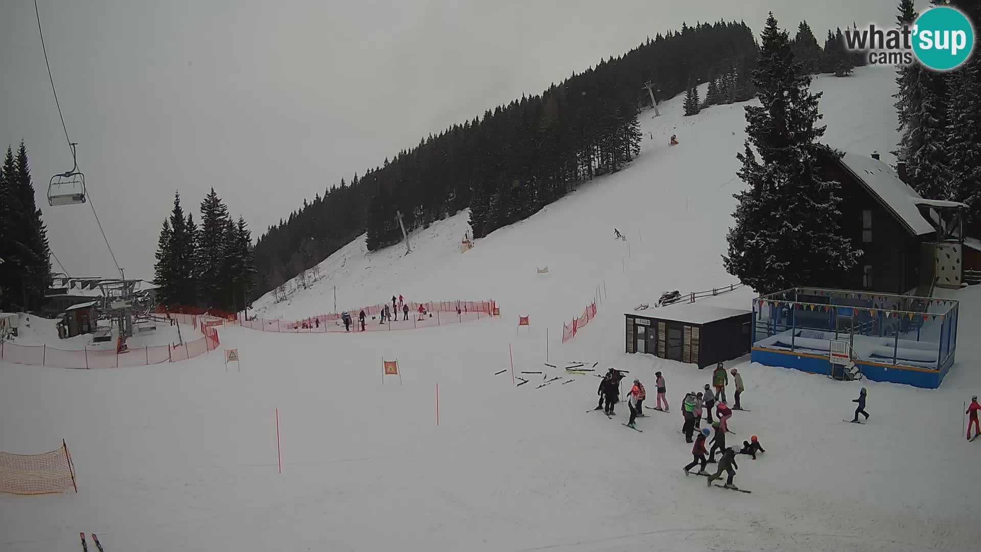 GOLTE stazione sciistica webcam – vista Medvedjak – Slovenia