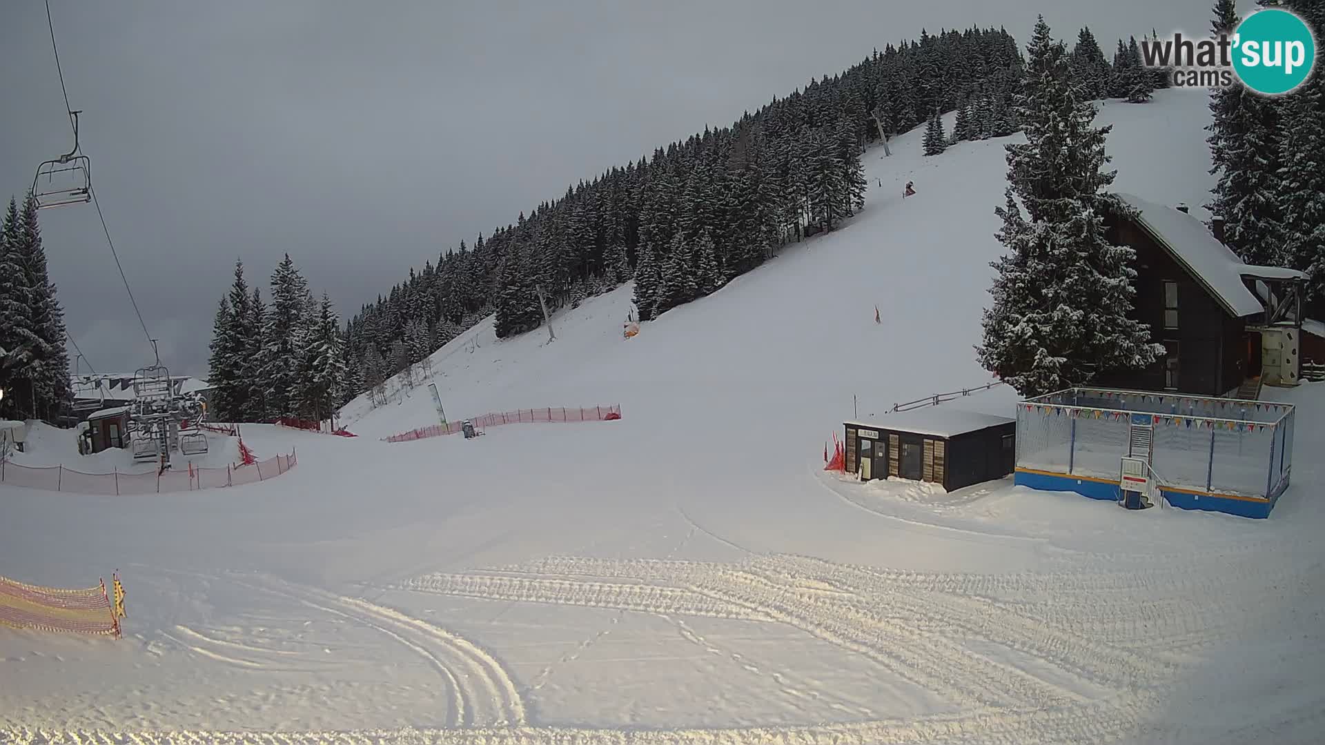 GOLTE stazione sciistica webcam – vista Medvedjak – Slovenia