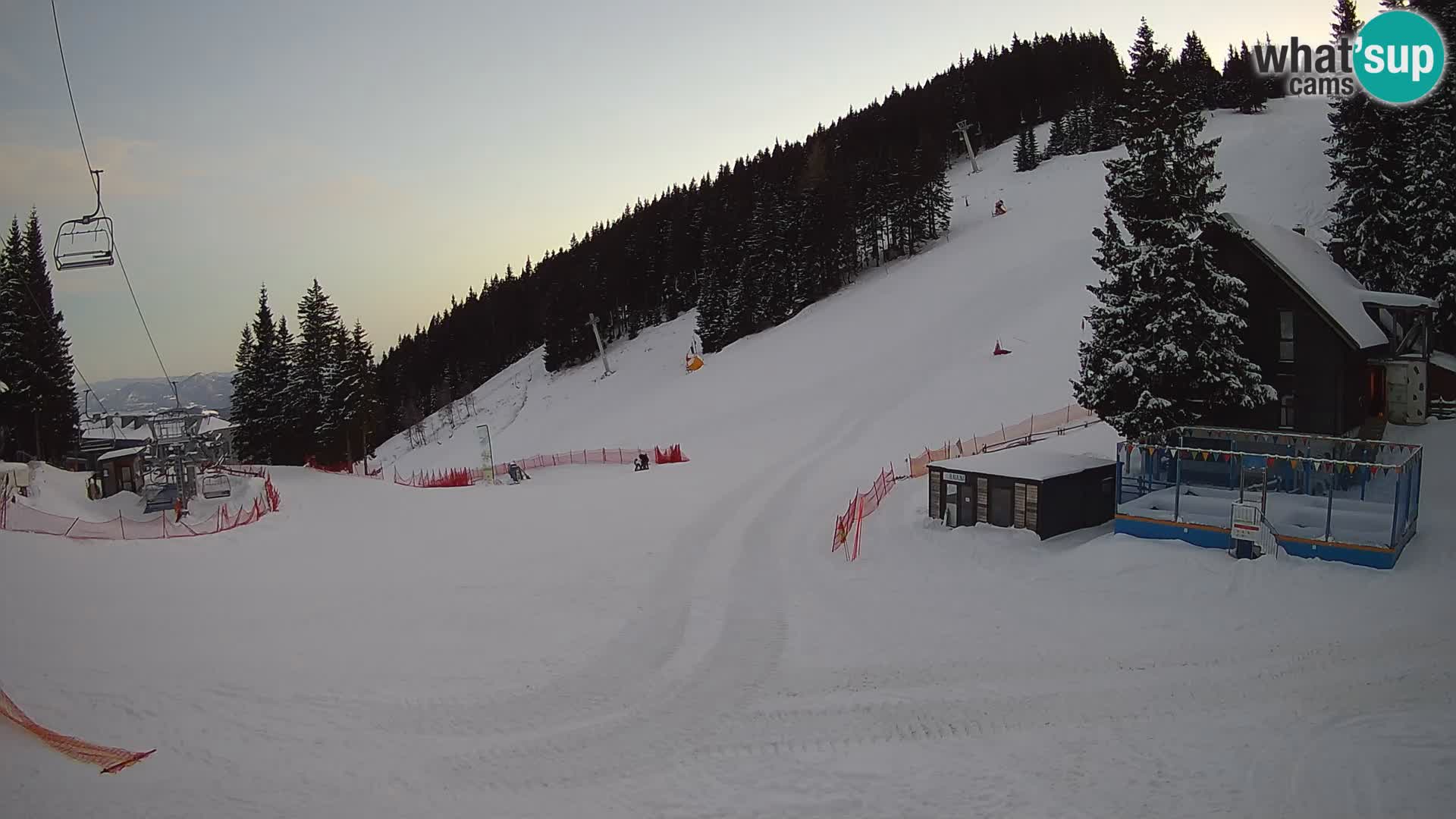 GOLTE Skigebiet webcam – Schöne Aussicht auf Medvedjak – Slowenien