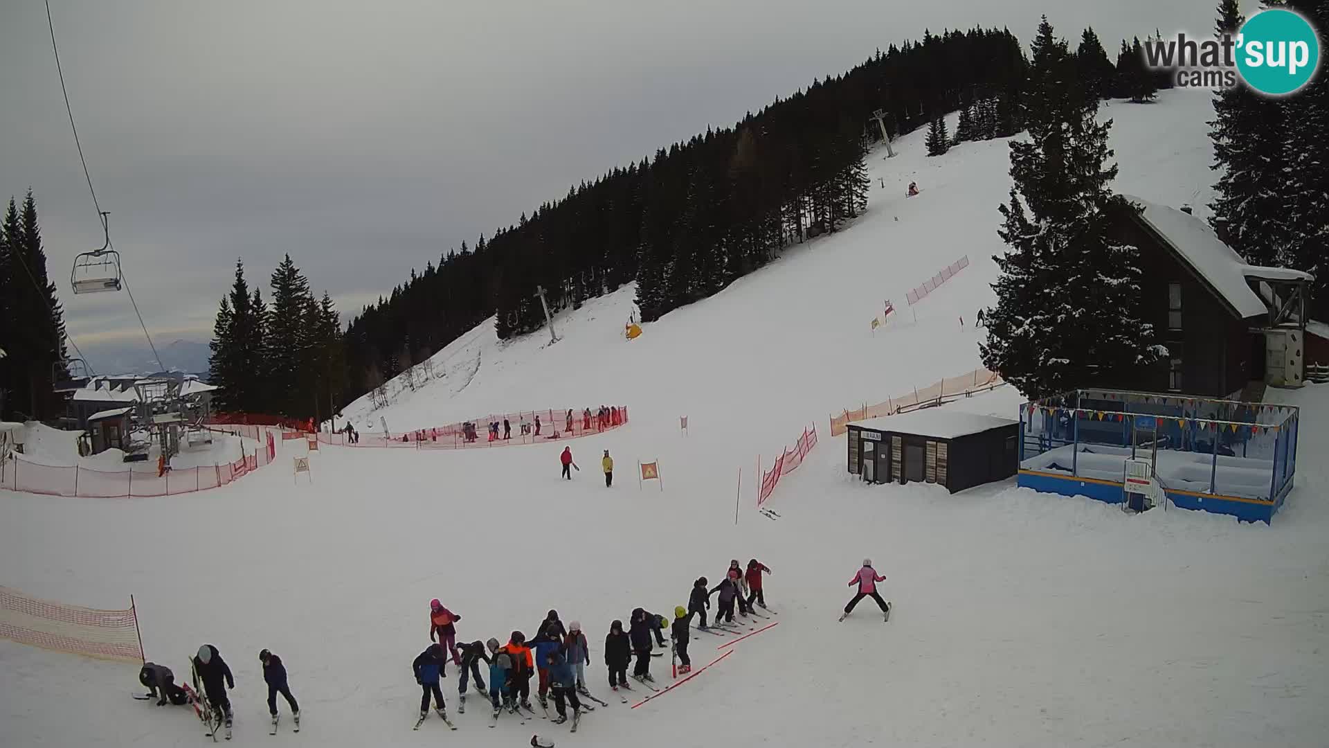 Cámara web en vivo de la estación de esquí GOLTE – vista a Medvedjak – Eslovenia