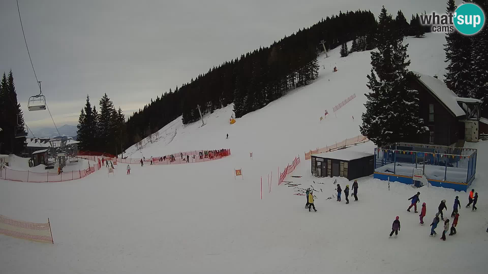 GOLTE Skigebiet webcam – Schöne Aussicht auf Medvedjak – Slowenien