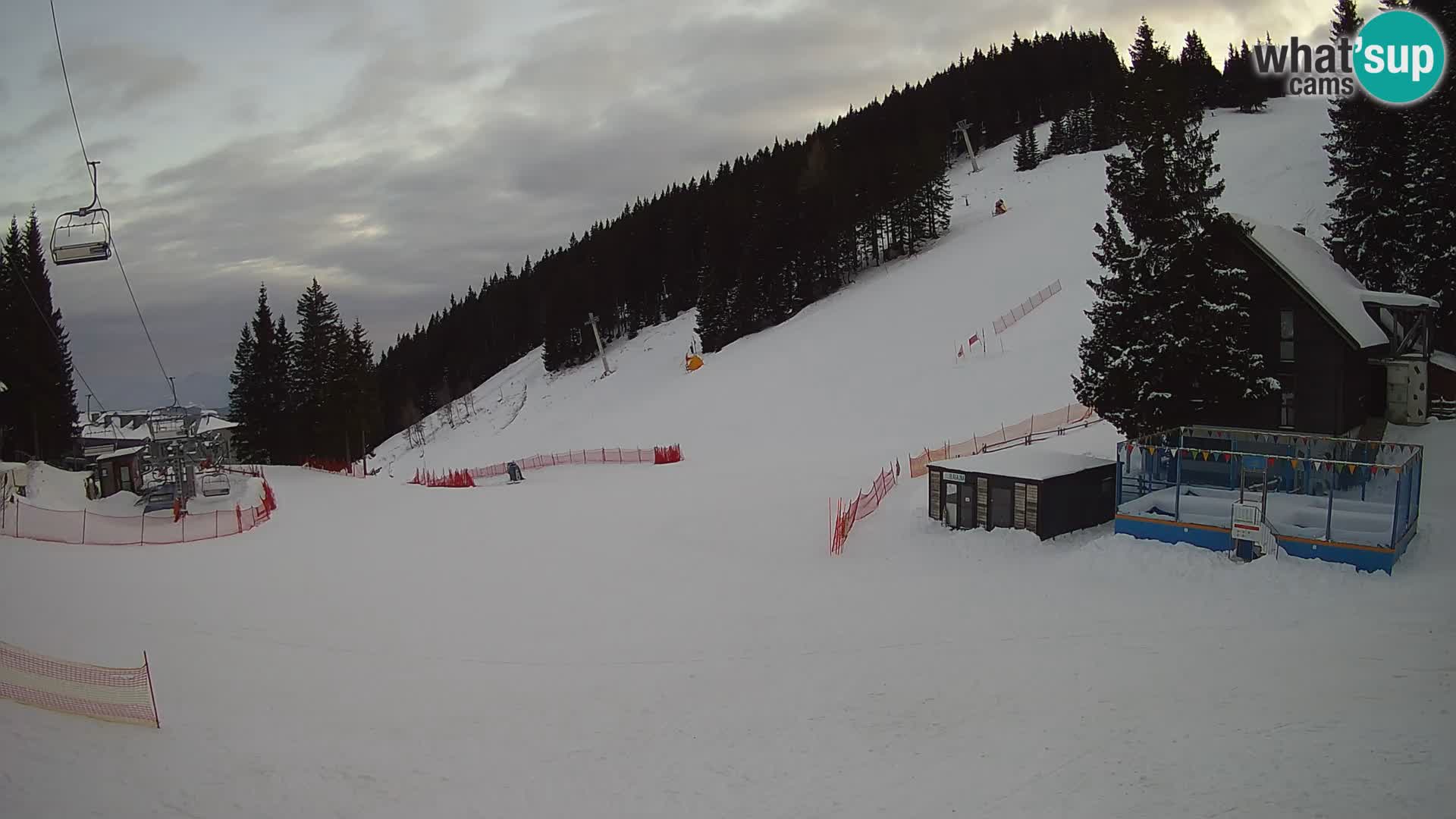 GOLTE Skigebiet webcam – Schöne Aussicht auf Medvedjak – Slowenien