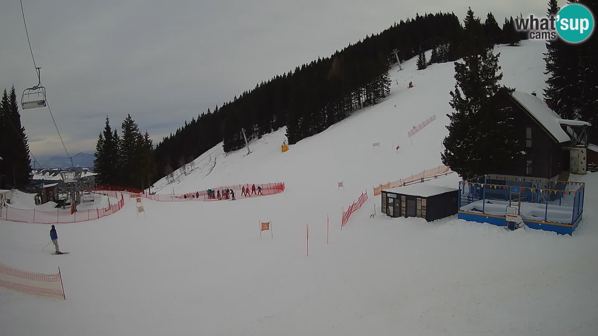 Cámara web en vivo de la estación de esquí GOLTE – vista a Medvedjak – Eslovenia
