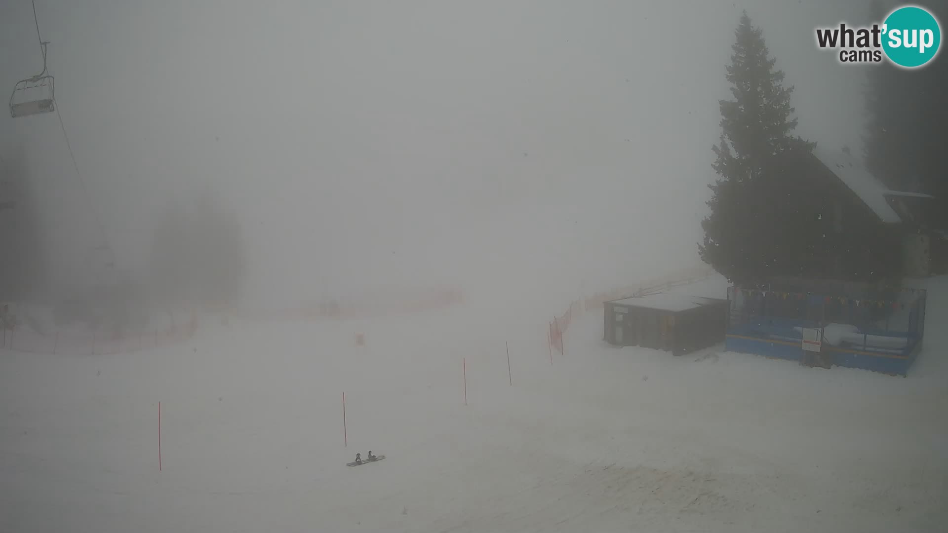Spletna kamera smučišča GOLTE v živo – pogled na Medvedjak