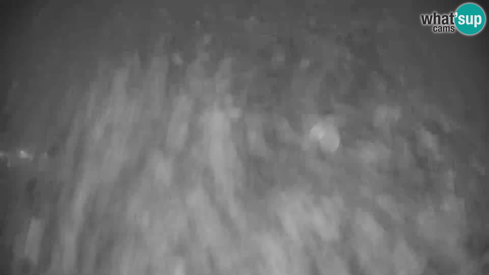 GOLTE Ski resort live webcam – view to Medvedjak – Slovenia