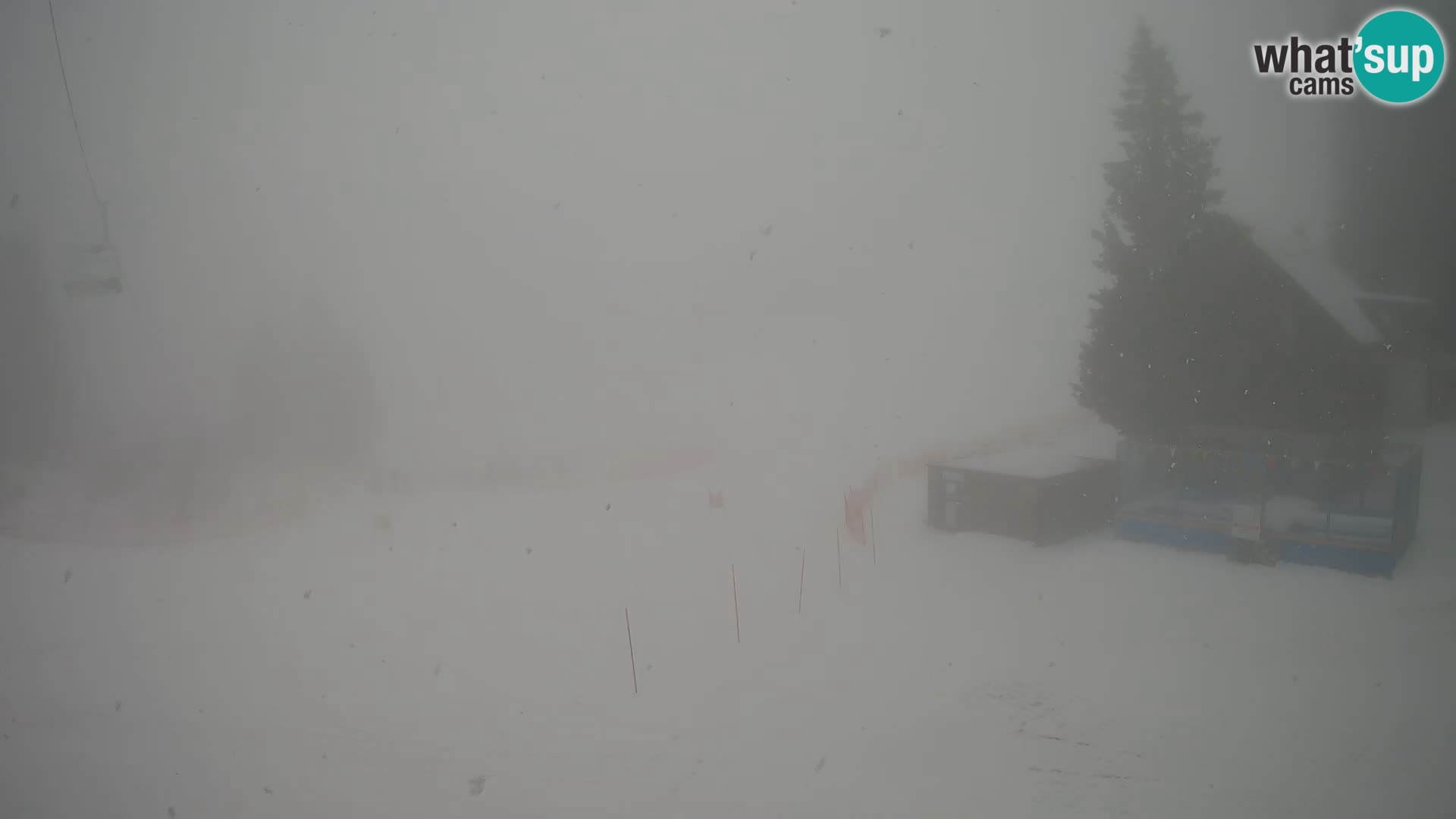 GOLTE Skigebiet webcam – Schöne Aussicht auf Medvedjak – Slowenien