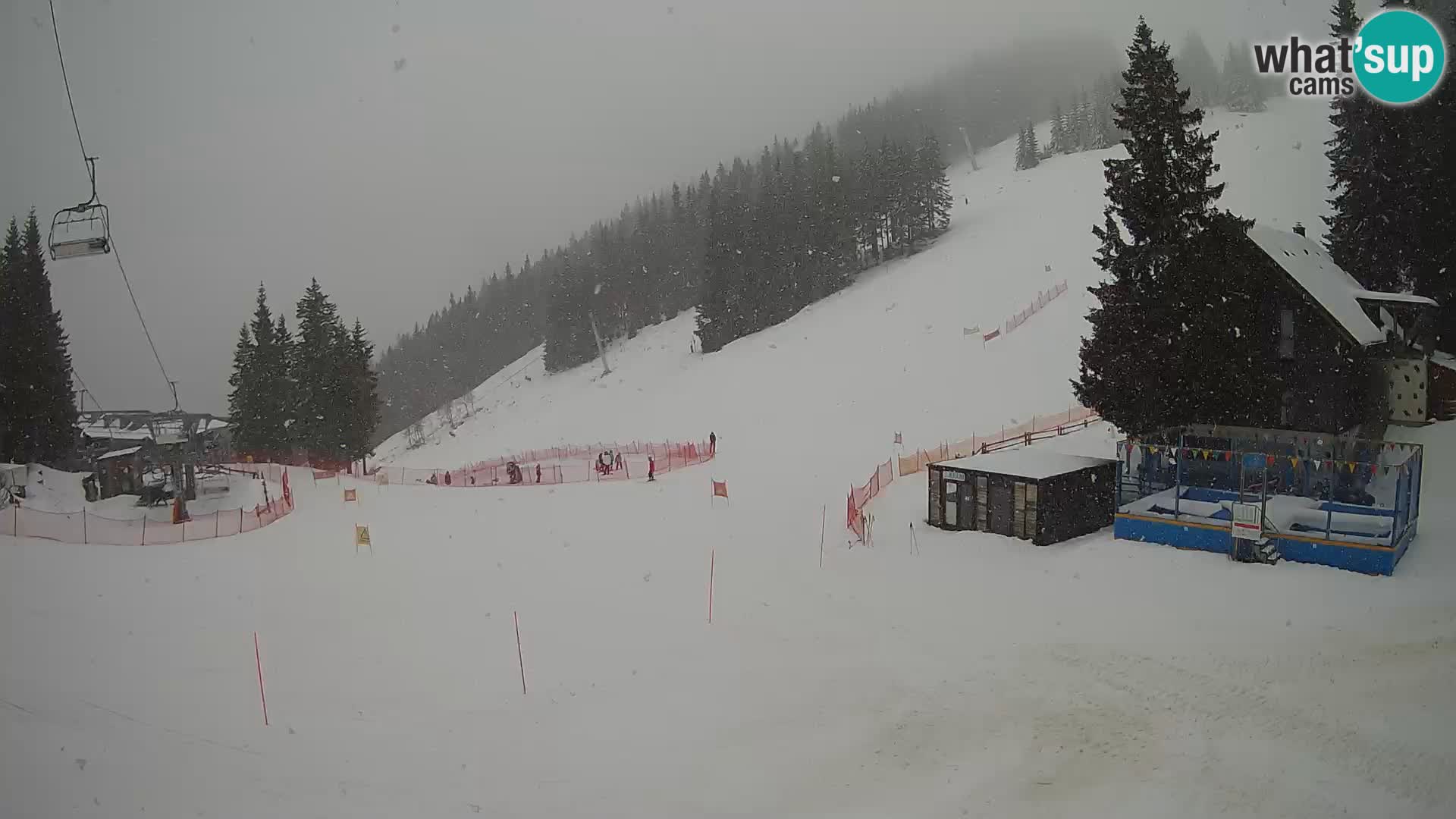 GOLTE Skigebiet webcam – Schöne Aussicht auf Medvedjak – Slowenien