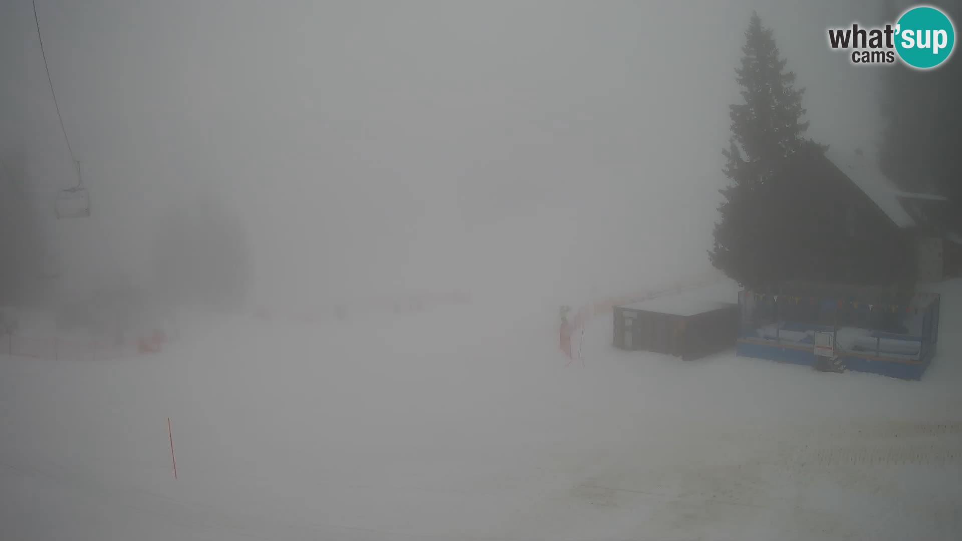 GOLTE stazione sciistica webcam – vista Medvedjak – Slovenia