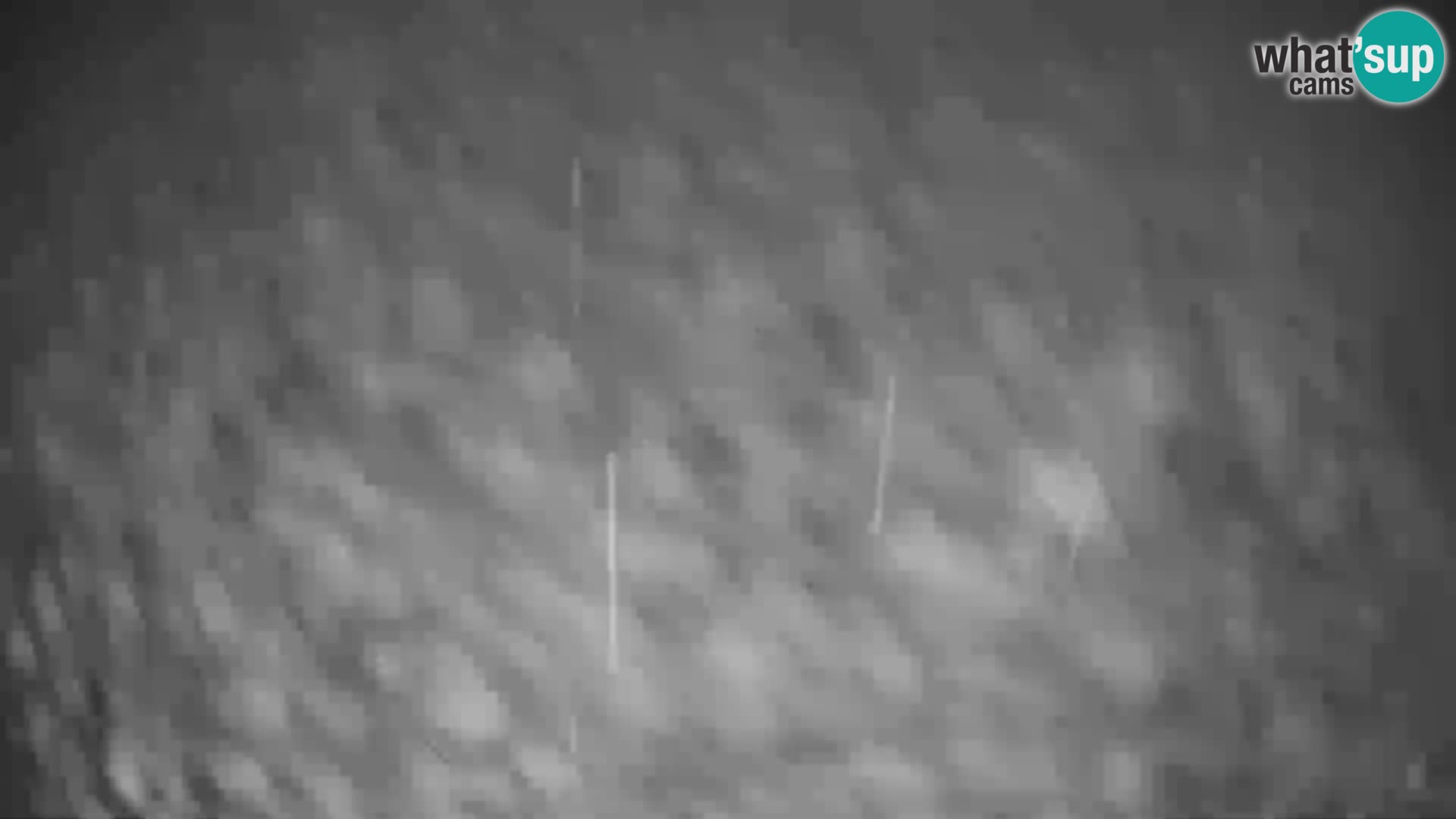 GOLTE stazione sciistica webcam – vista Medvedjak – Slovenia